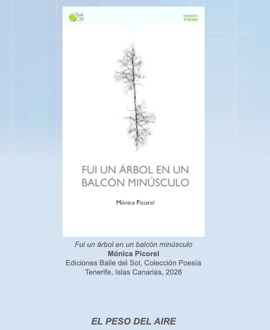Puentes de papel / reseña de José Luis Morante de “Fui un árbol en un balcón minúsculo” de Mónica Picorel (Baile del Sol, 2025) 