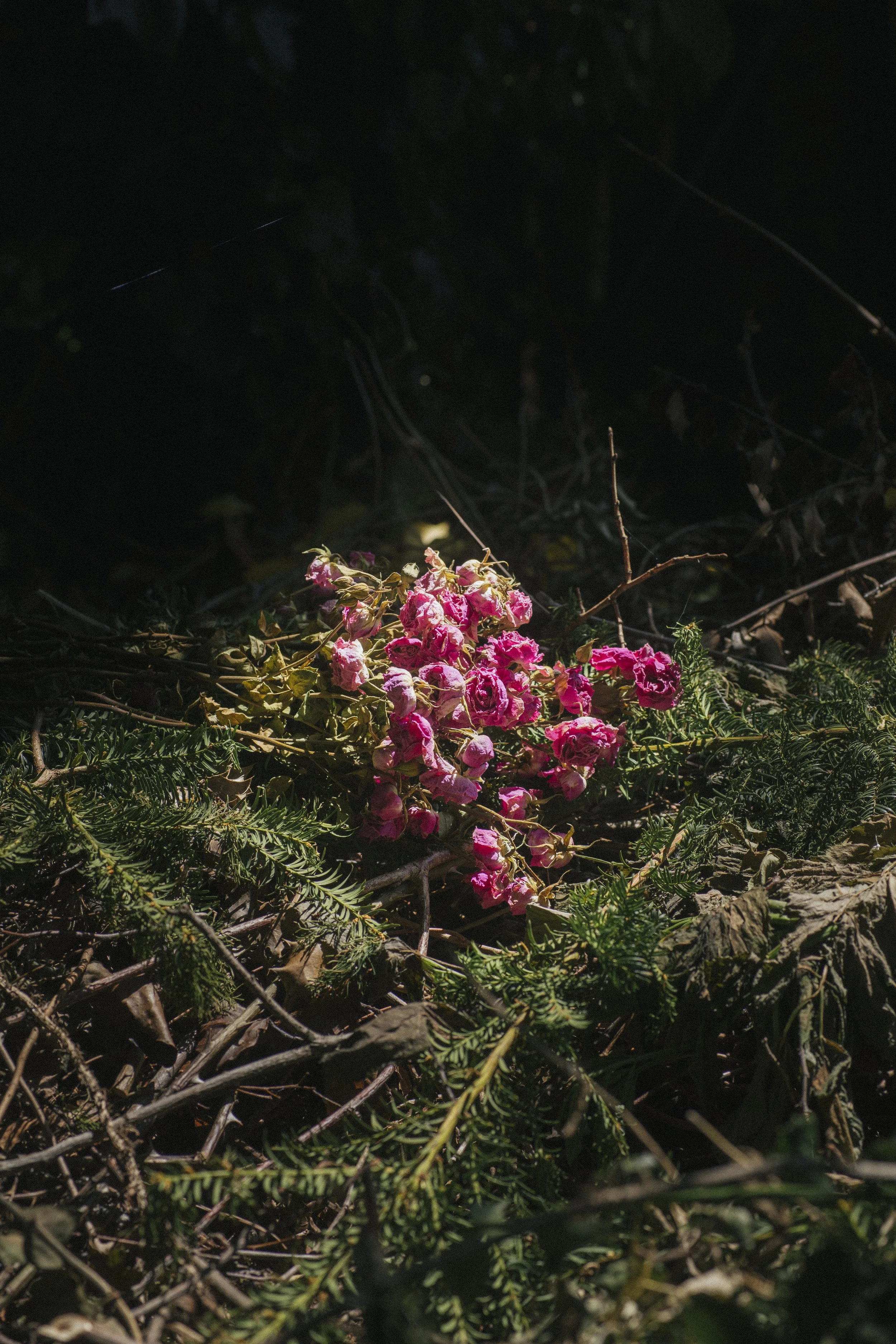 Mother’s day flowers 
50X33CM
Ed 5 + 1AP