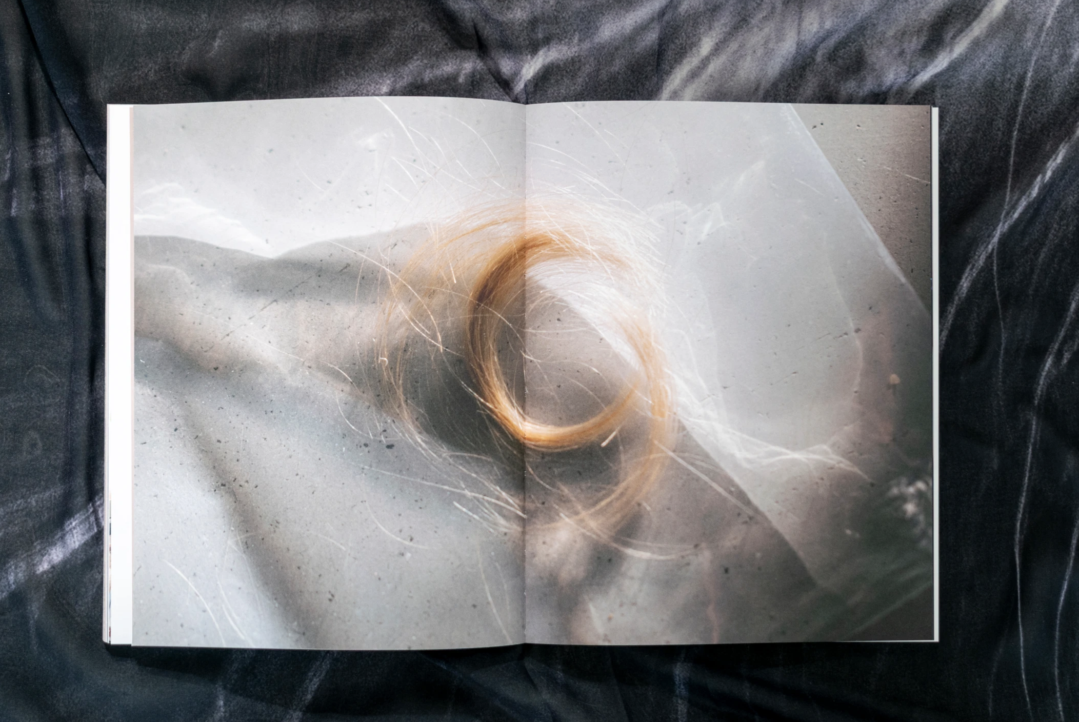 Screenshot 2026-01-29 at 16.50.15.png