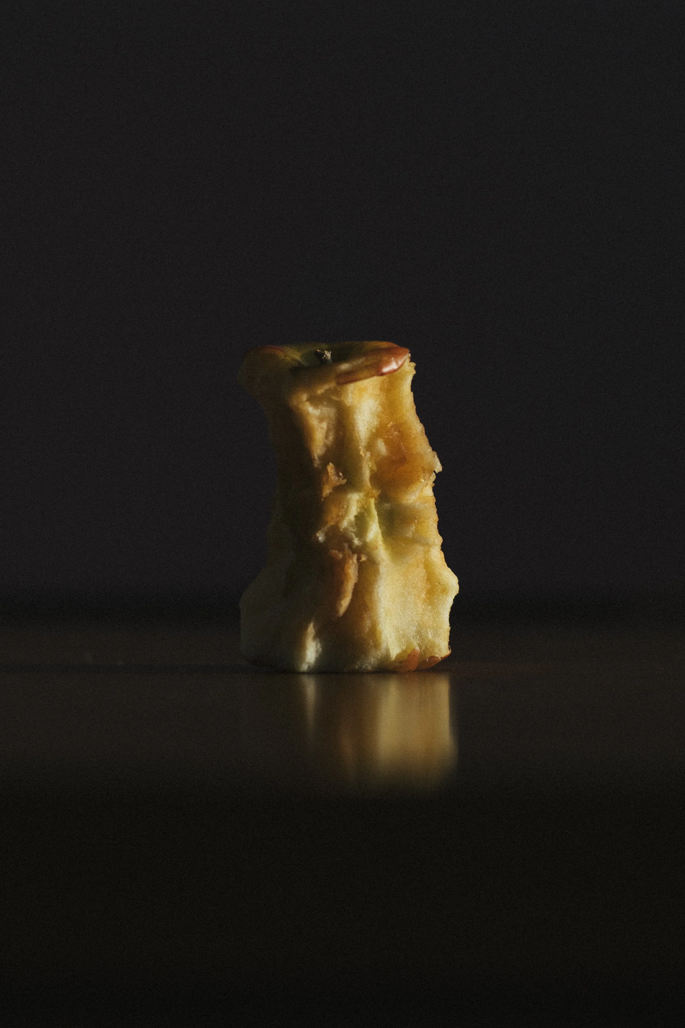 Apple core 
14X21CM 
Ed 5 + 1AP