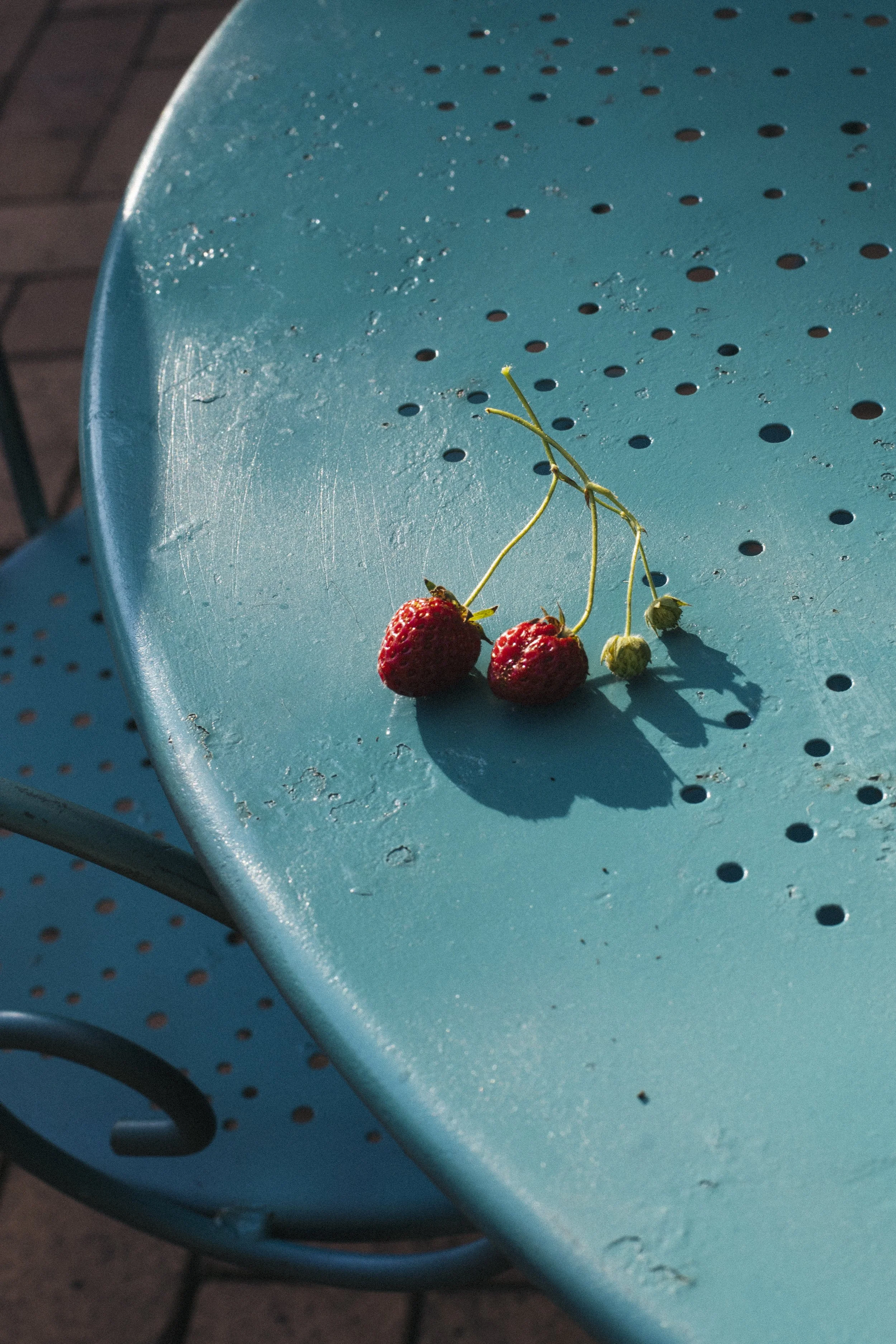 Wild strawberries 
30X45CM
Ed 5 + 1AP