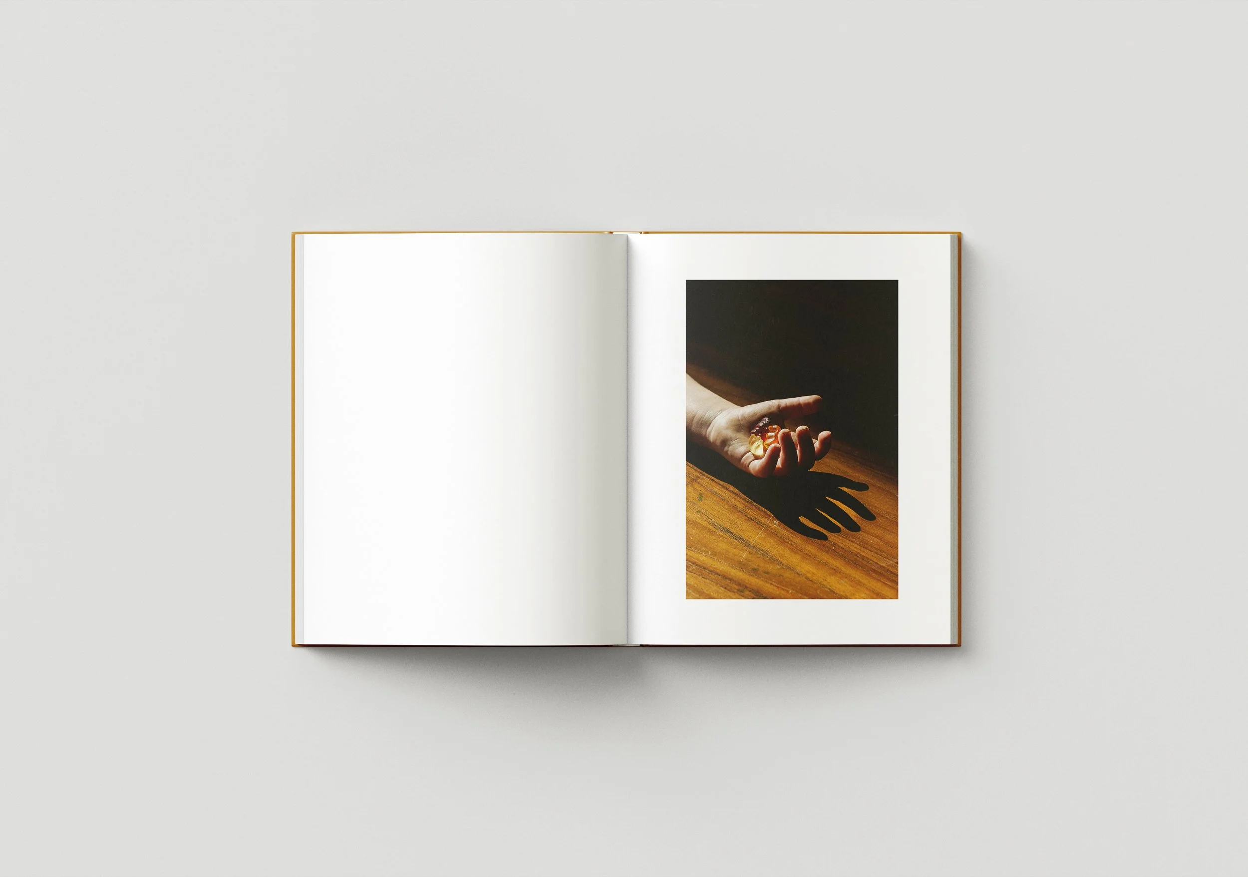 Book_Mockup_02.jpg