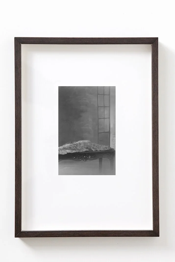 19 against the backdrop of time.jpg