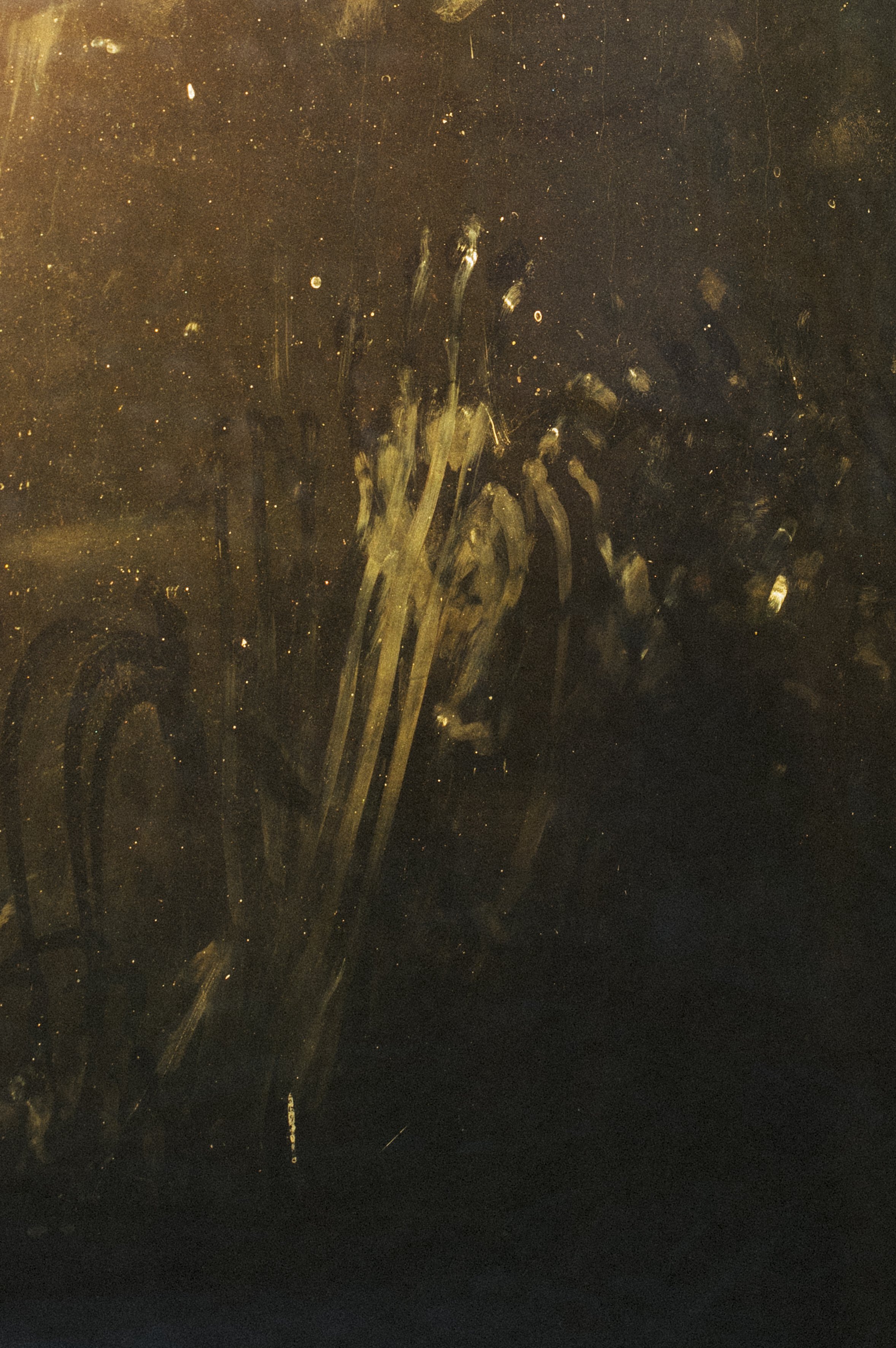 Dirty hand on window 
50X33CM
Ed 5 + 1AP