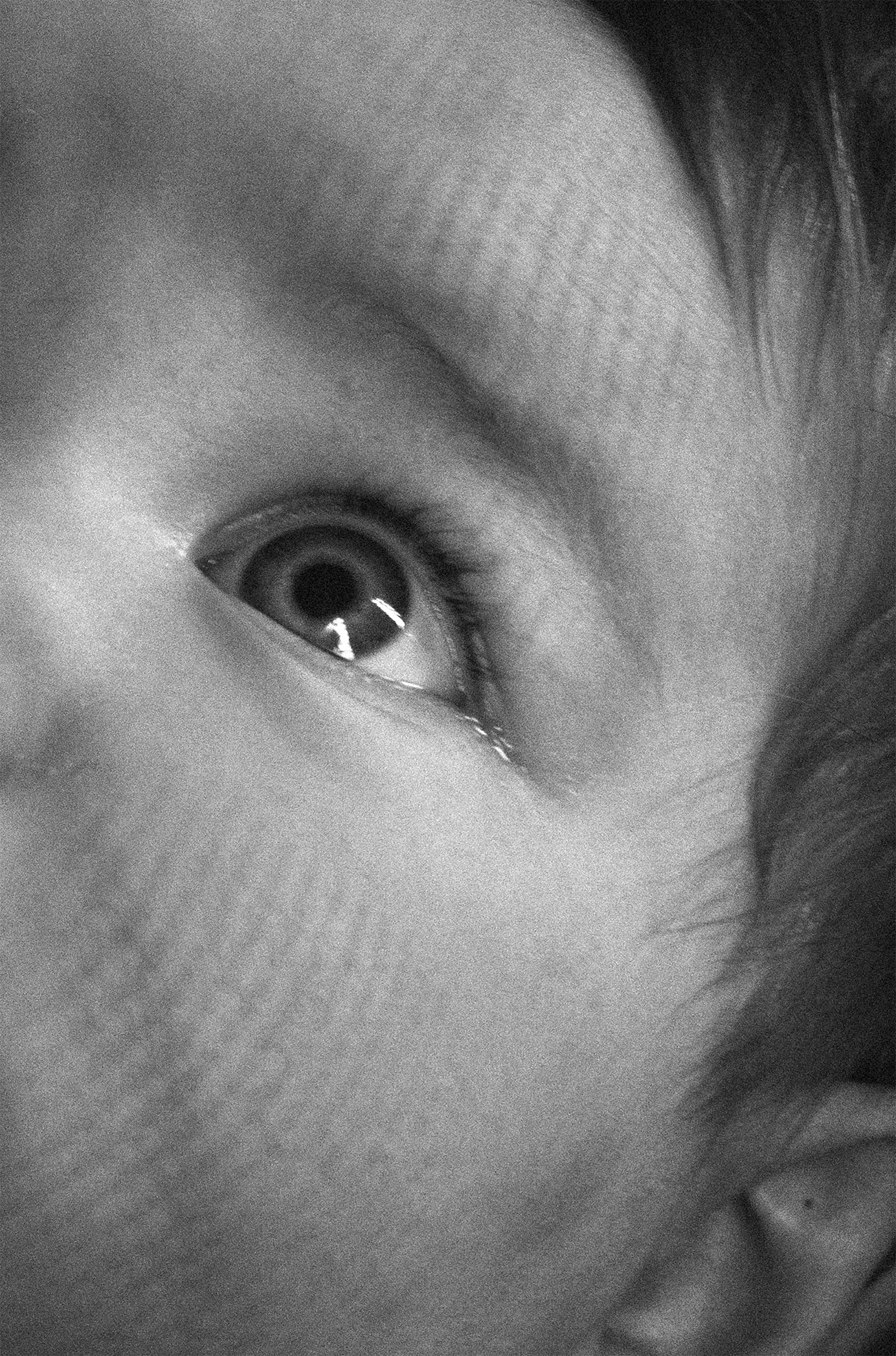 Sleep lines 1
4X21CM
Ed 5 + 1AP