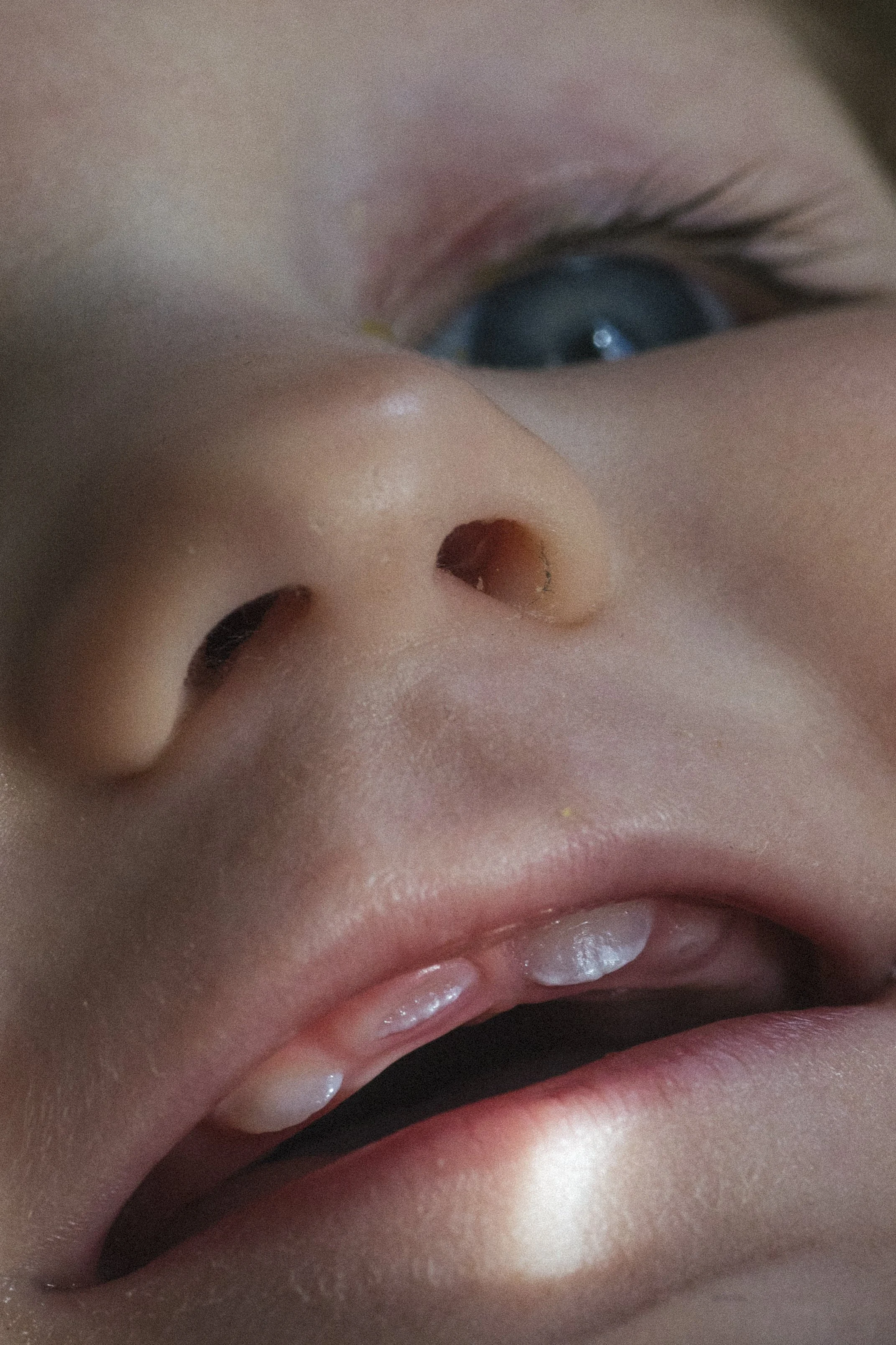 First teeth 
14X21CM
Ed 5 + 1AP