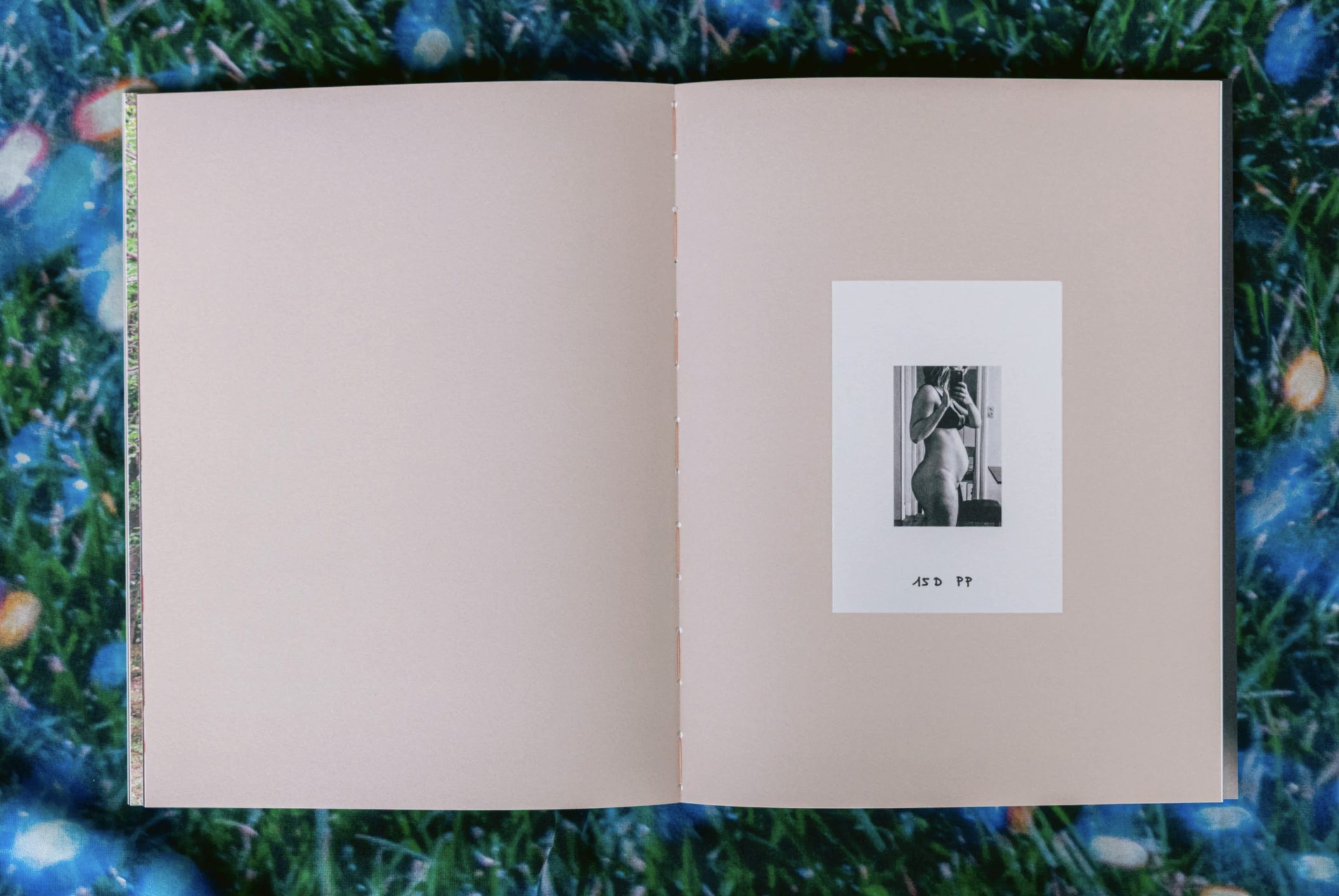 Screenshot 2026-01-29 at 16.50.38.png