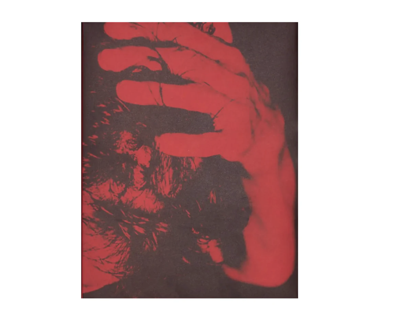 Screenshot 2025-12-31 at 15.10.42.png