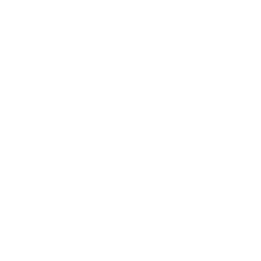 A black circular logo with a white border featuring the initials 'TN' in white in the center.