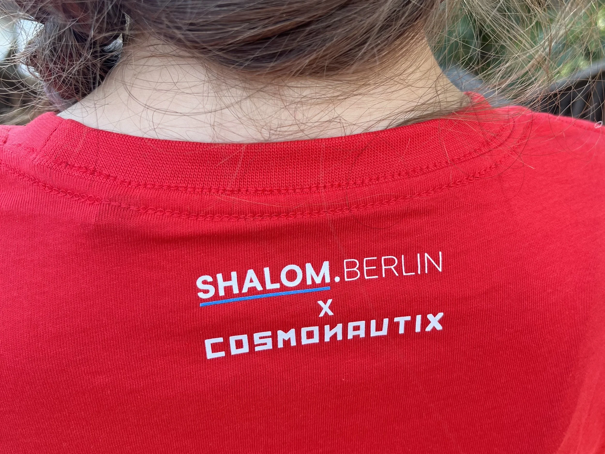 Shirt_Shternfliger_backquer.jpeg
