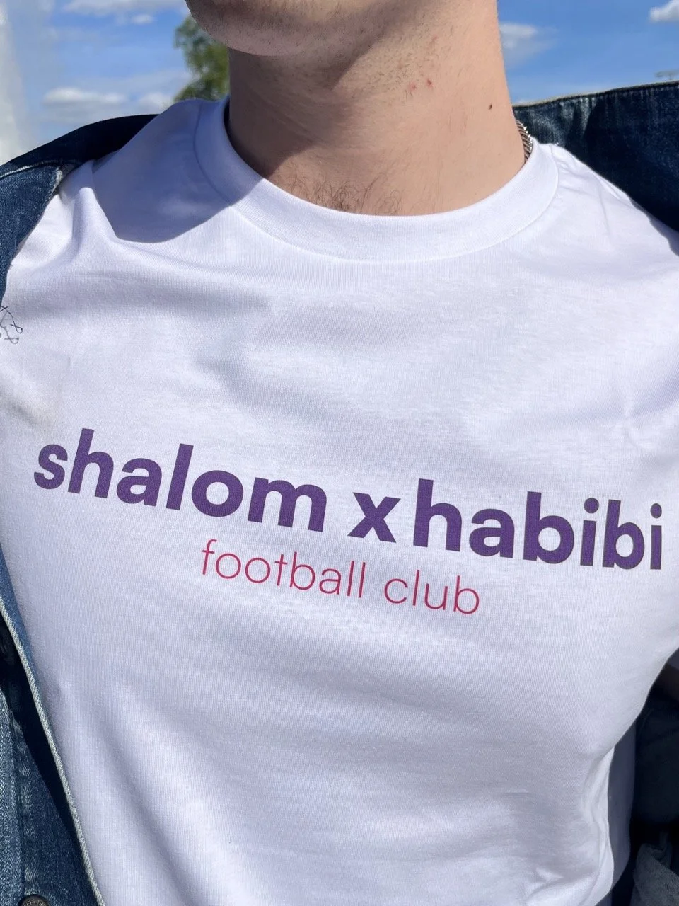 SHALOM.HABIBI.jpeg