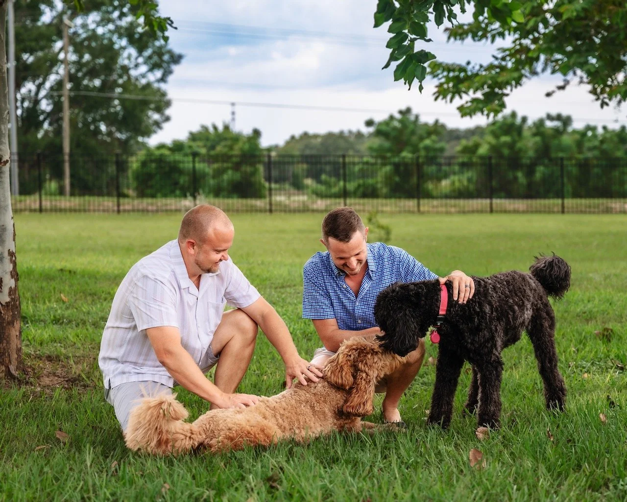 Two men sitting on grass in a park with two dogs, one poodle mix lying on its back and one black curly-haired dog standing, patting the dogs and smiling.
