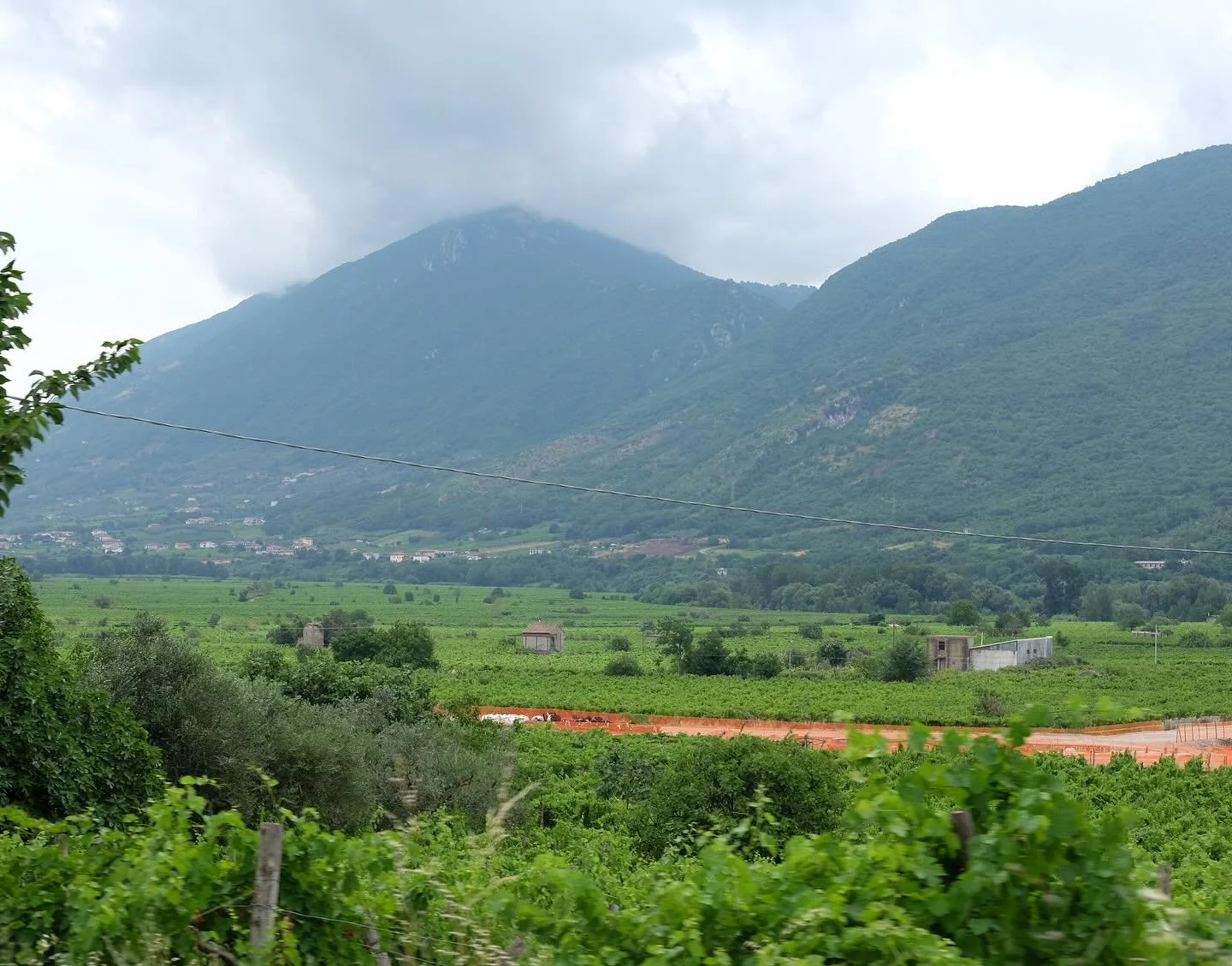 LA GUARDIENSE, Campania - As a leading producer in the Sannio DOC, La Guardiense is a co-operative now boasting around 1000 members. Operating from Santa Lucia di Guardia Sanframondi in Benevento, this co-op is one of the region&rsquo;s most enduring