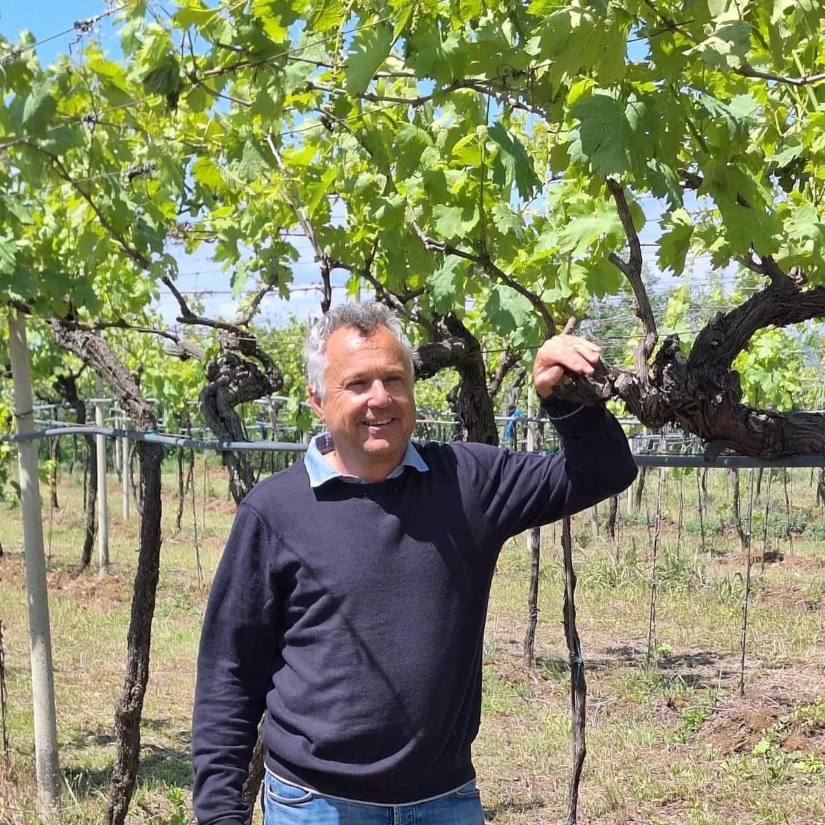 COFFELE, Soave: With biodiversity, organic viticulture and sustainability at the forefront of wine growing at Coffele, Alberto and the team (don&rsquo;t forget the sheep!) have been very busy with the growing season now in full swing. 

April was sur