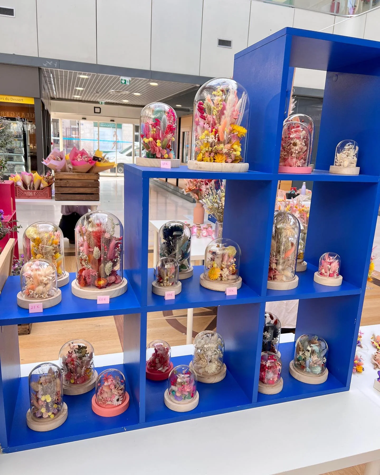 🌸 POP UP🌷 VENDREDI 16 MAI

C&rsquo;est un RDV mensuel qui nous anime depuis d&eacute;but mars : Venir &agrave; votre rencontre aux @leshallesdetours, une fois par mois, le vendredi. 
Alors on se retrouve ce Vendredi 16 mai pour colorer le patio 🌈 