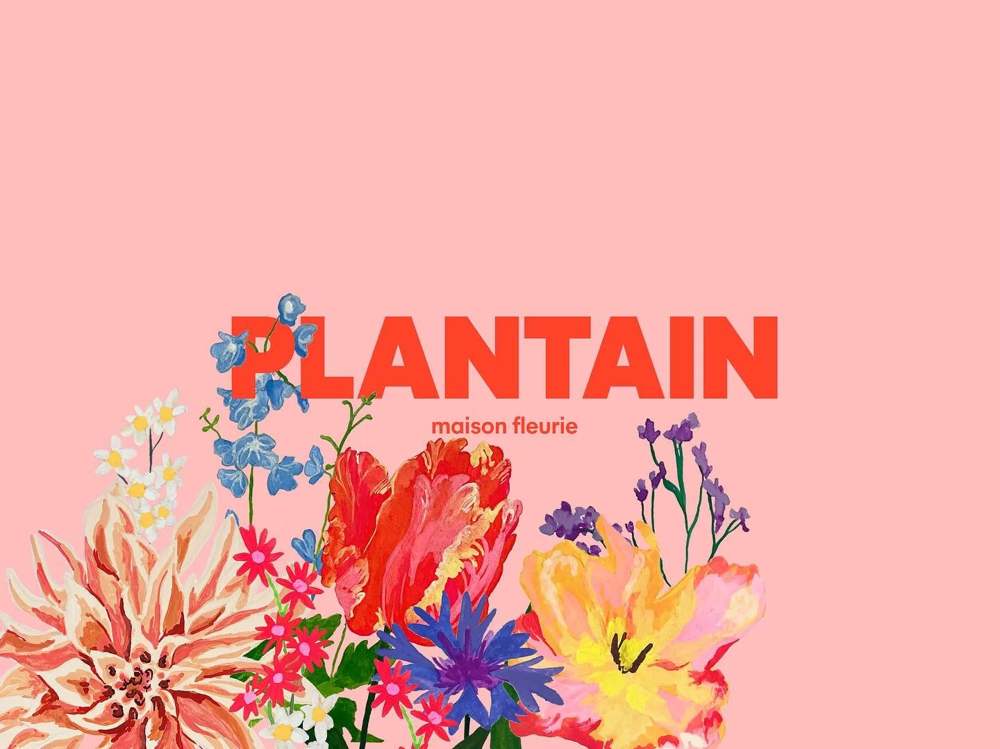 💐🌈🌺 Plantain Maison Fleurie Version 2.0 🌈🌸💐

ENFIN ELLE EST L&Agrave; !

On avait envie de fra&icirc;cheur, de couleurs, et d&rsquo;une image qui nous ressemble encore plus&hellip; et c&rsquo;est chose faite 💛 
Depuis l&rsquo;arriv&eacute;e de