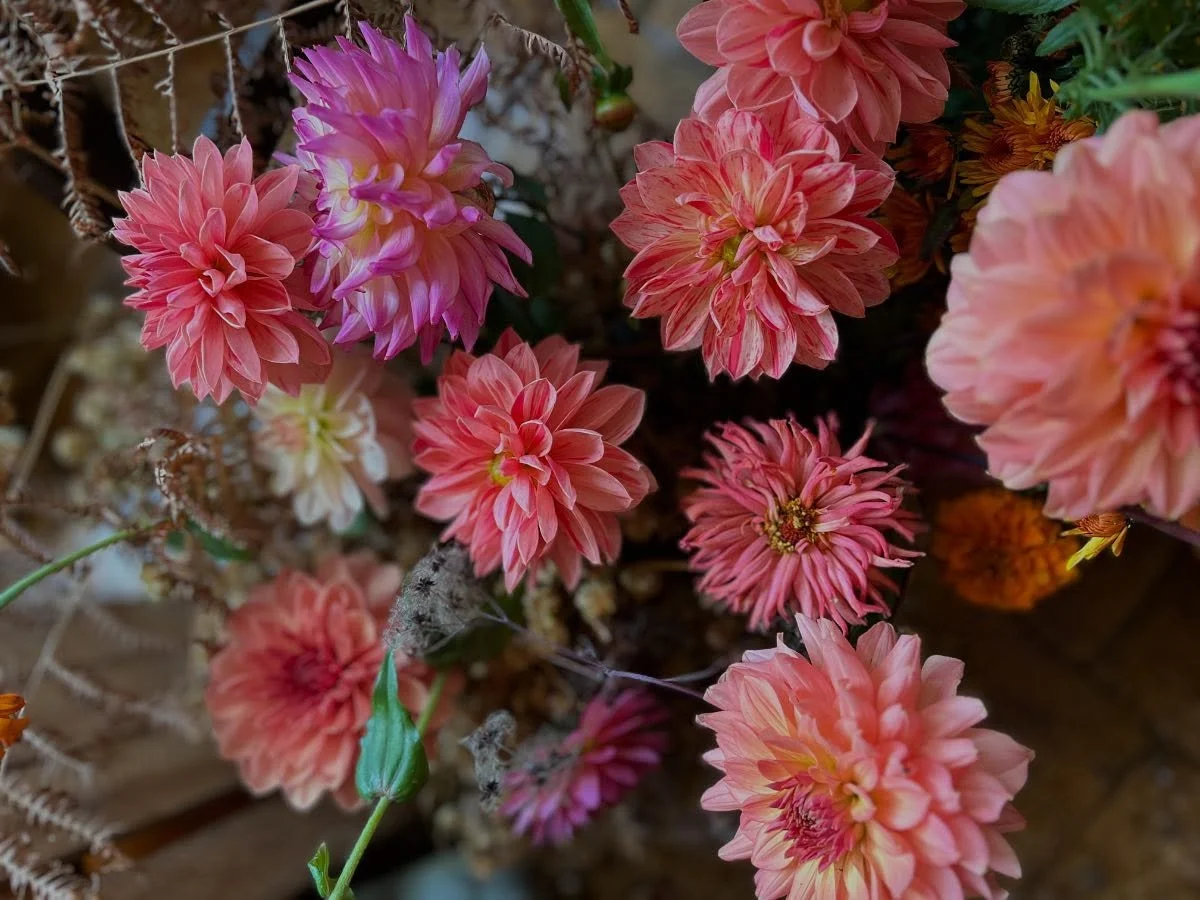 🍂OFF 🍁 
Après deux mois intensifs remplis de jolis projets,
L’atelier prend une petite pause cette semaine! 
Pas de bouquet de fleurs fraîches, ni de retrait de vos commandes en fleurs séchées cette semaine. 
Mai