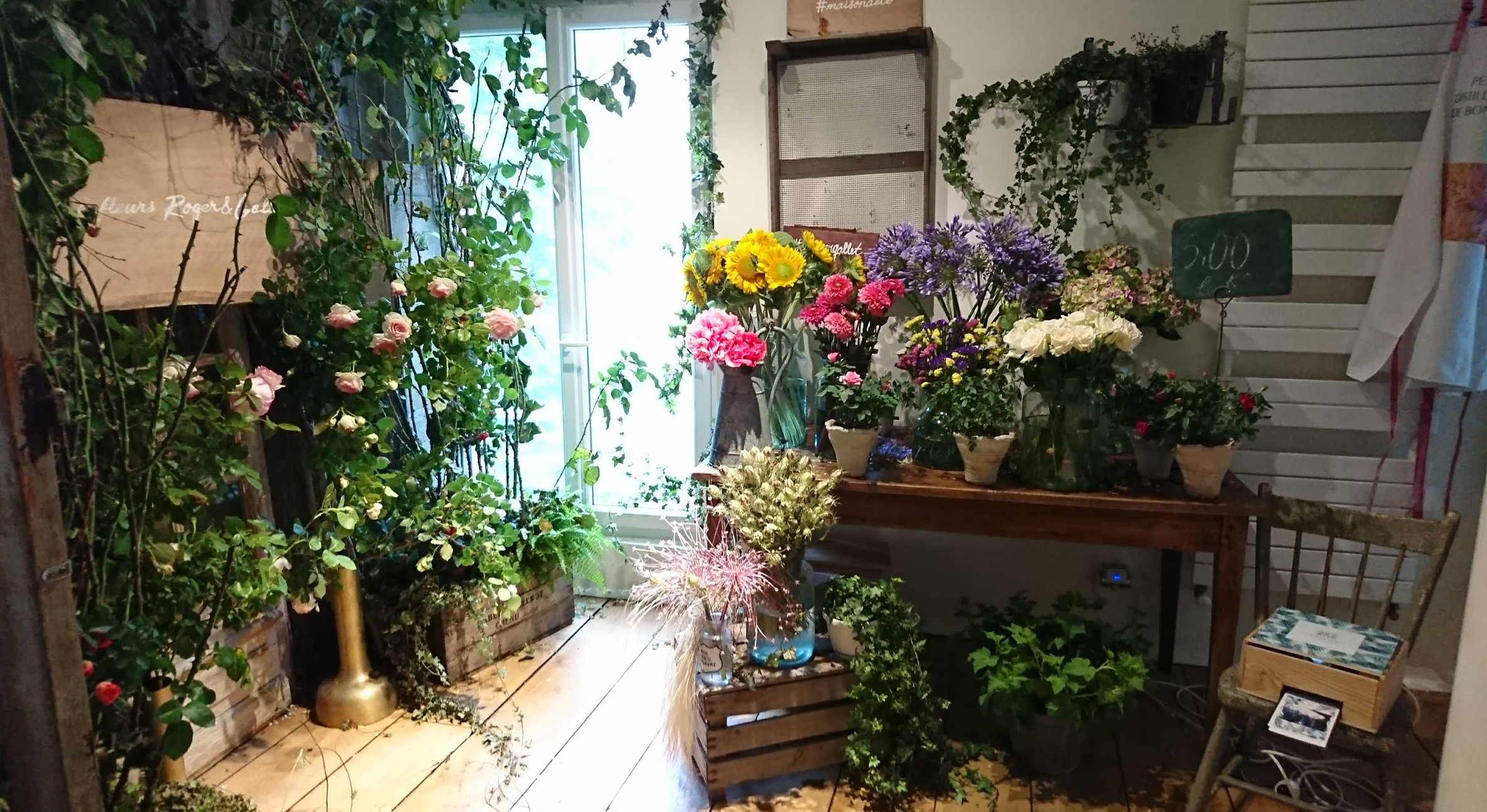 Une boutique de fleurs avec un grand choix de plantes et de fleurs colorées, notamment des roses, des dahlias, des hortensias, et diverses plantes vertes, décorée dans un style rustique avec du bois et des plantes en pot.