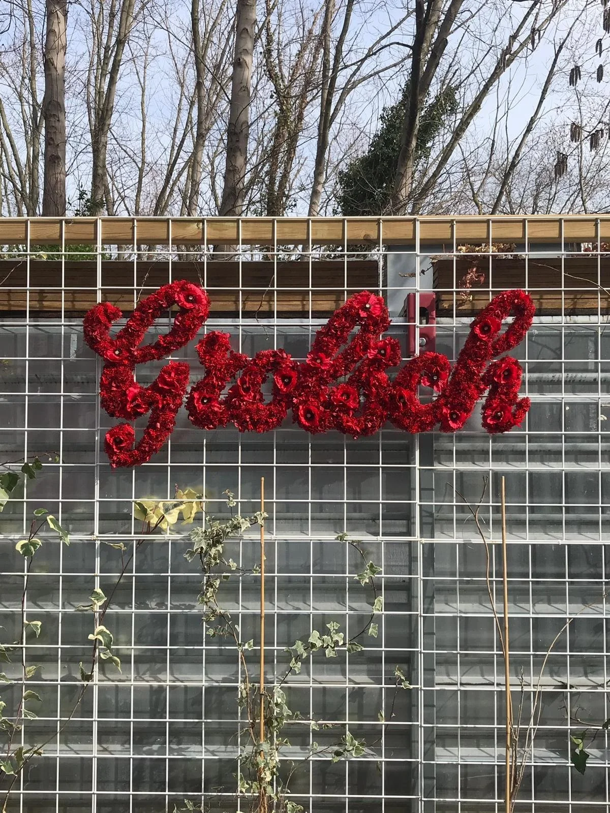 Décoration florale rouge formant le mot 'love' sur une clôture en treillis.