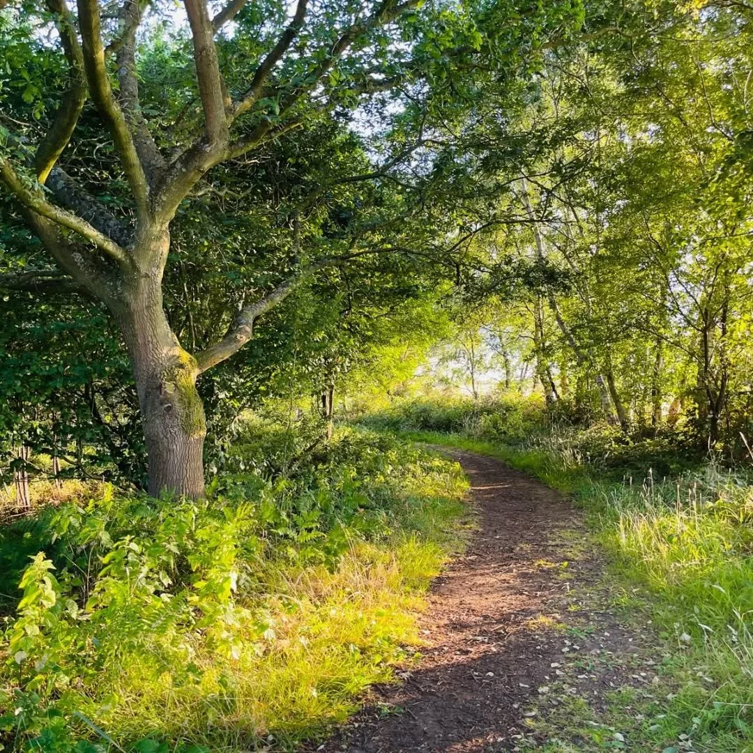 The first image, a path into the woodland. Nature waiting to be seen and rediscovered.

I hope that you will join me and enjoy the content as I take the first steps into the world of a independent Therapy provider.

#therapy #mentalhealth #naturelove