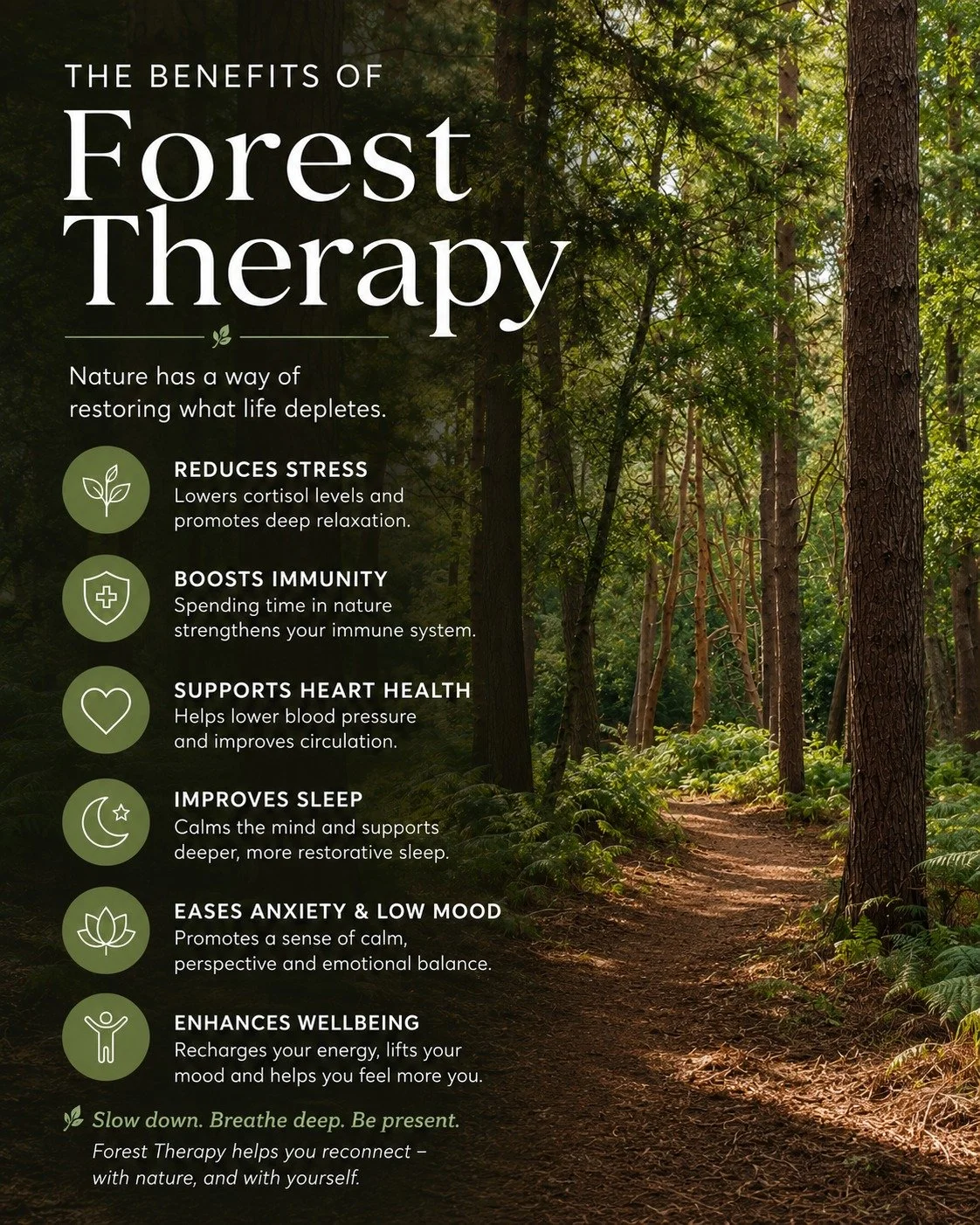 Follow the link in the bio to book your session!

 #kingslynn #norfolk #shinrinyoku #naturalhealth #forestbathing
