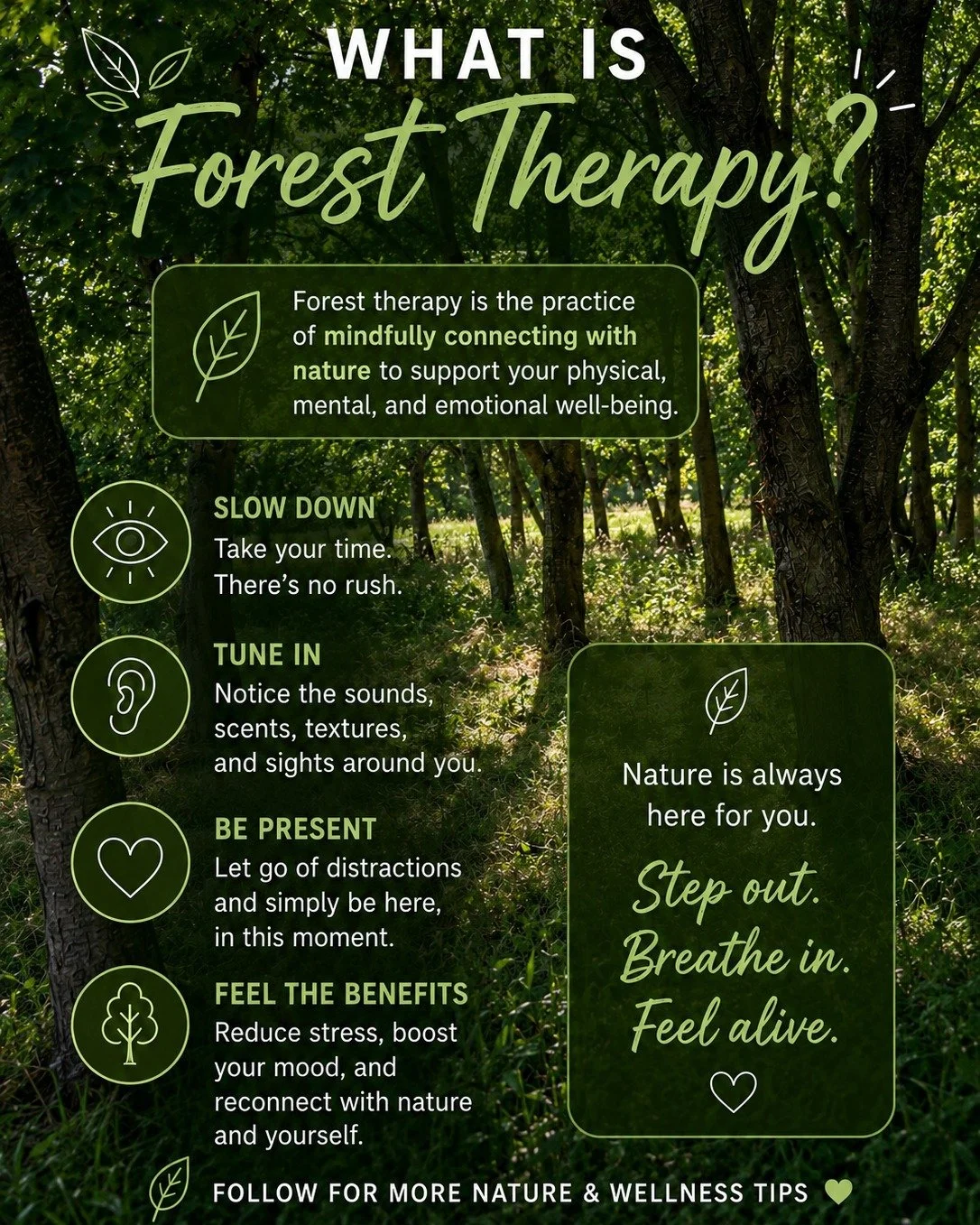 Ready to unlock the healing power of nature? 🌳💚 
Explore the transformative benefits of Forest Therapy and take the first step towards a more balanced, vibrant you! Book a session in King's Lynn or Wolferton today and discover a path to wellness th