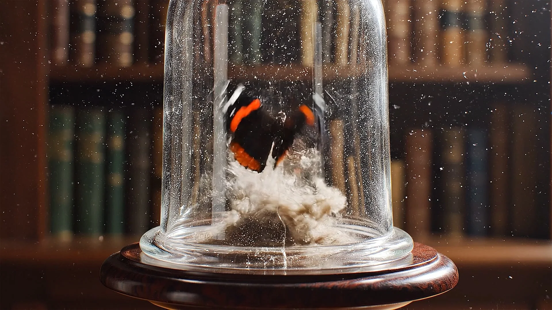 My Loving Bloody Valentine