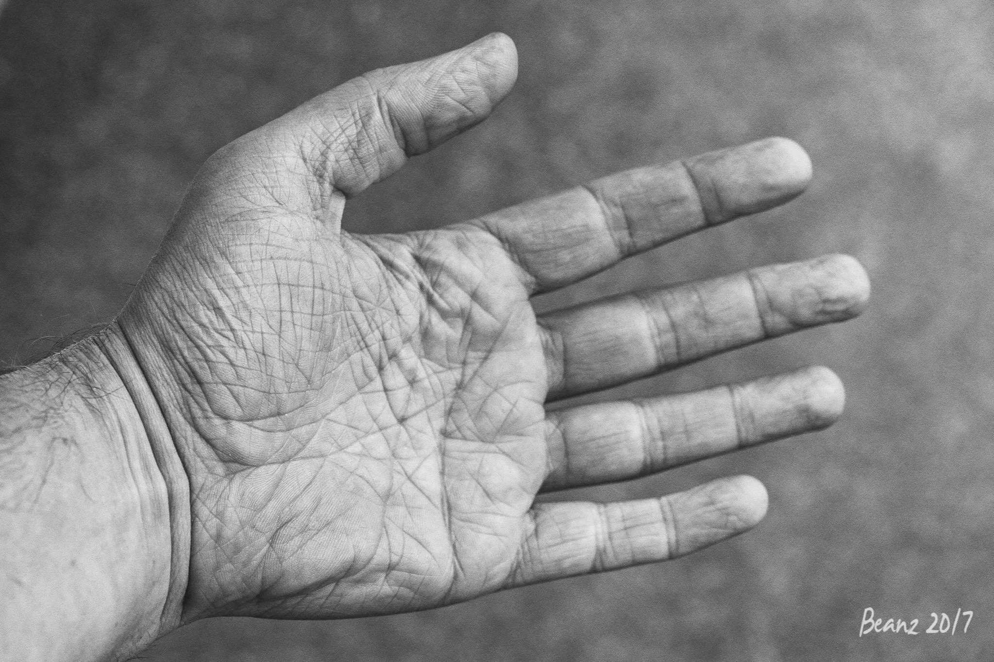 hands.jpg