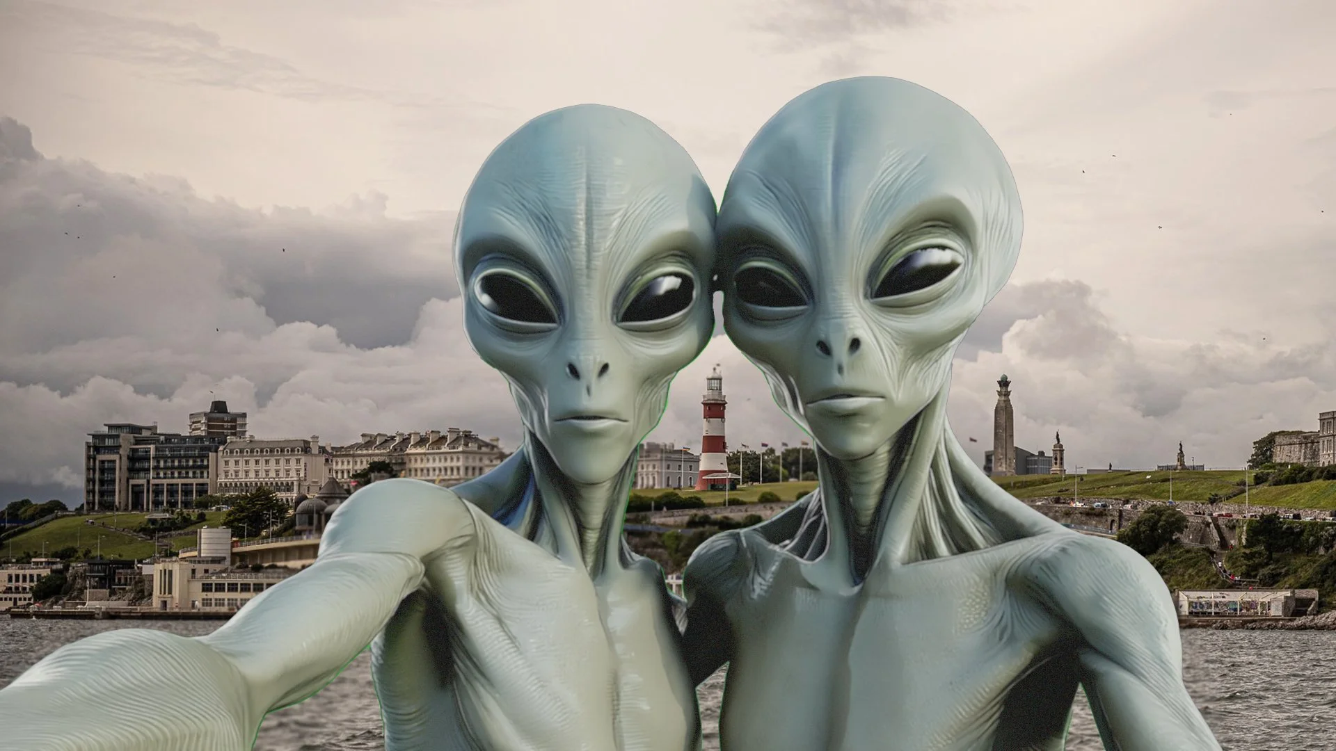 Greys on the hoe.jpg