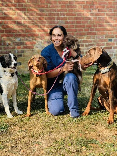 A woman in blue scrubs smiling while kneeling on grass, holding three dogs, with one dog sitting on her lap, in front of a brick wall.