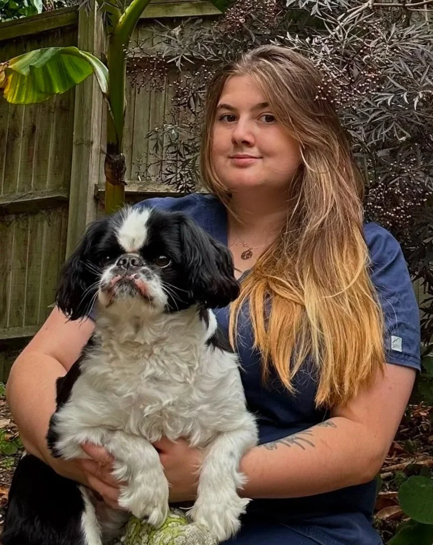 A young woman with long, light brown hair holding a black and white English Springer Spaniel puppy outdoors in a garden with a wooden fence and purple-leafed plants in the background.
