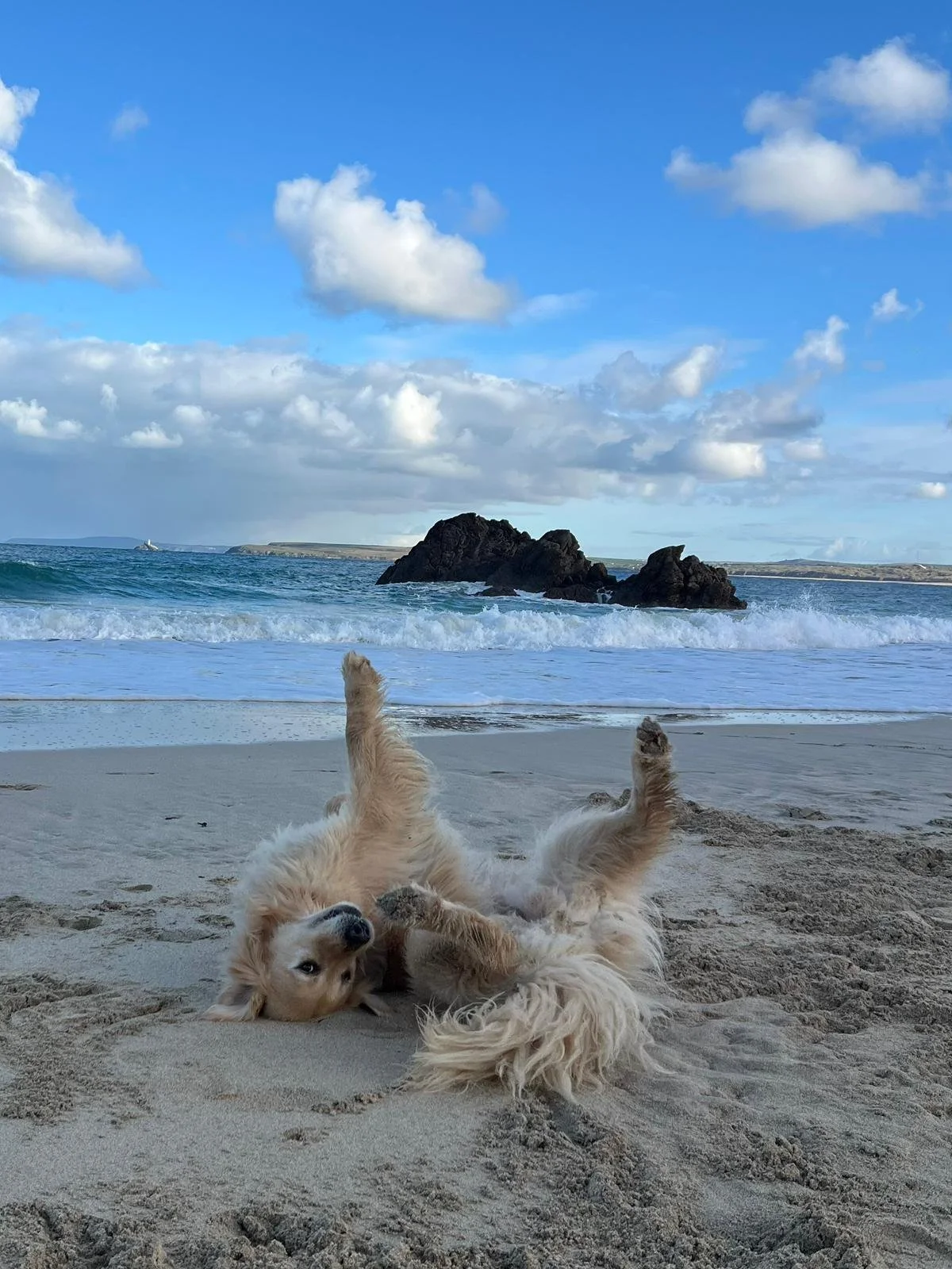 Golden retriever puppies playing on the sandy beach, with waves crashing on rocks in the ocean and a blue sky with scattered clouds overhead.