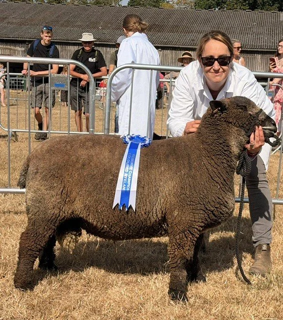 A woman kneeling beside a large sheep with a blue ribbon, at an outdoor event with onlookers and metal barriers in the background.