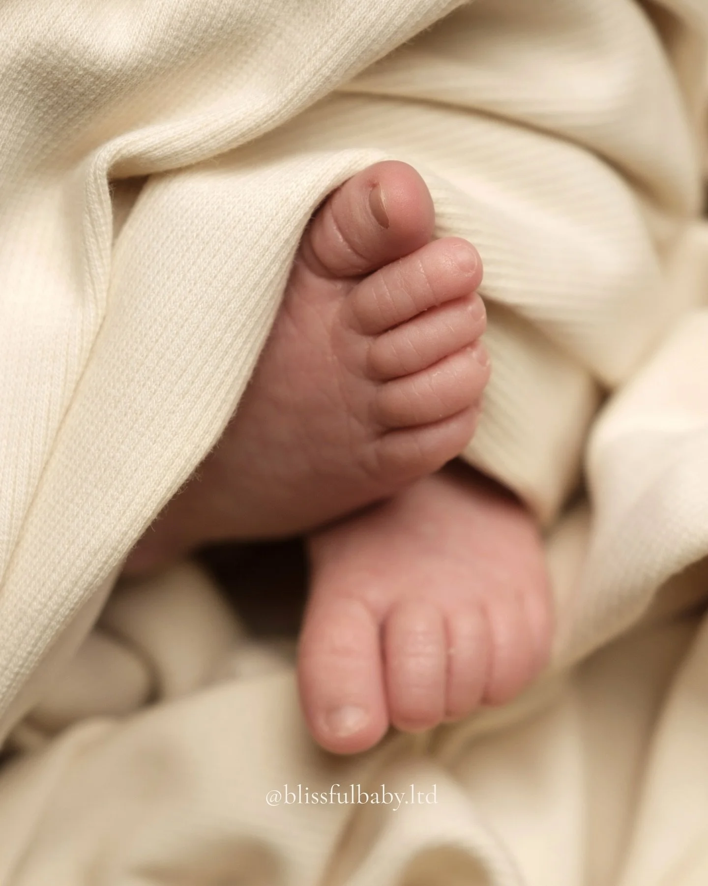 Blissful Baby is here for the in-between moments.
The quiet questions, the emotional days, the need for reassurance and gentle guidance.

Through our downloadable guidance books, products and community, we support new and expecting mamas as they navi