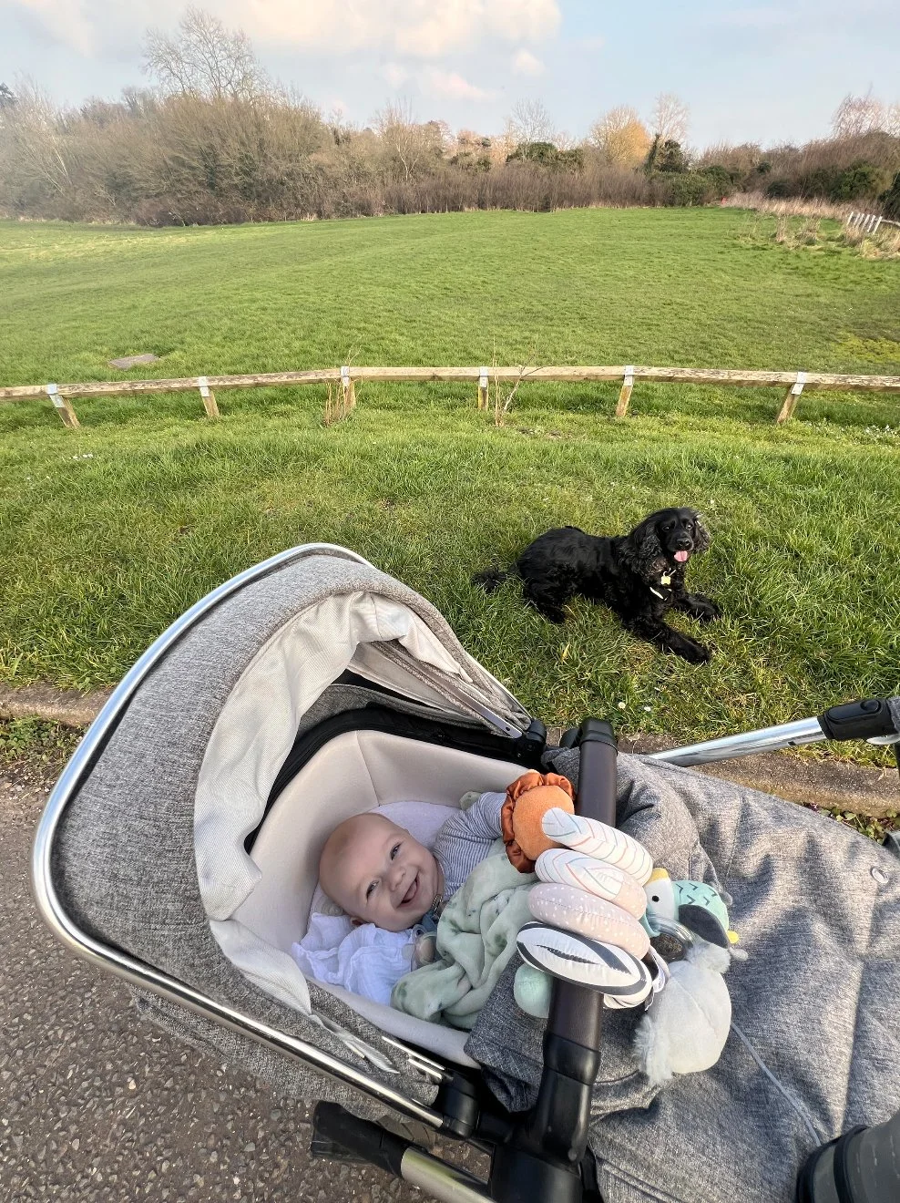 Fresh Air, Fresh Perspective