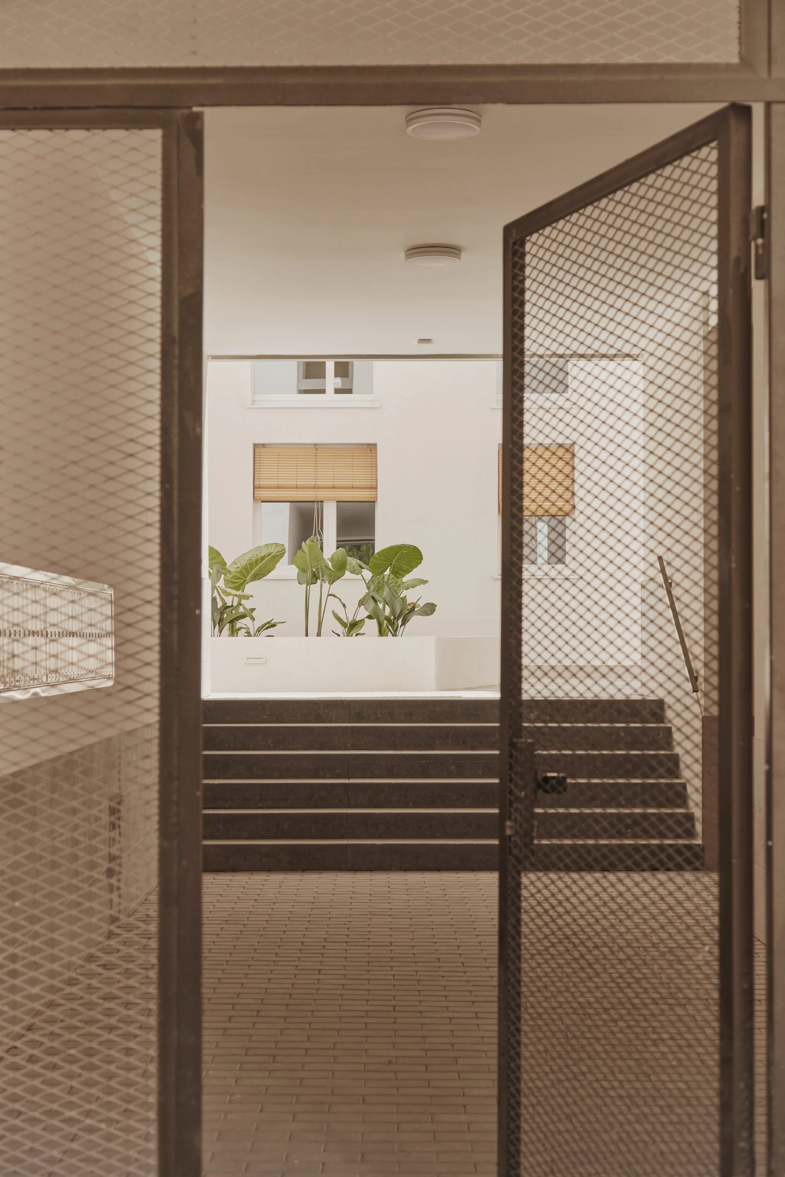Vista de un patio interior con escaleras, plantas y ventanas, vista a través de puertas de malla metálica.
