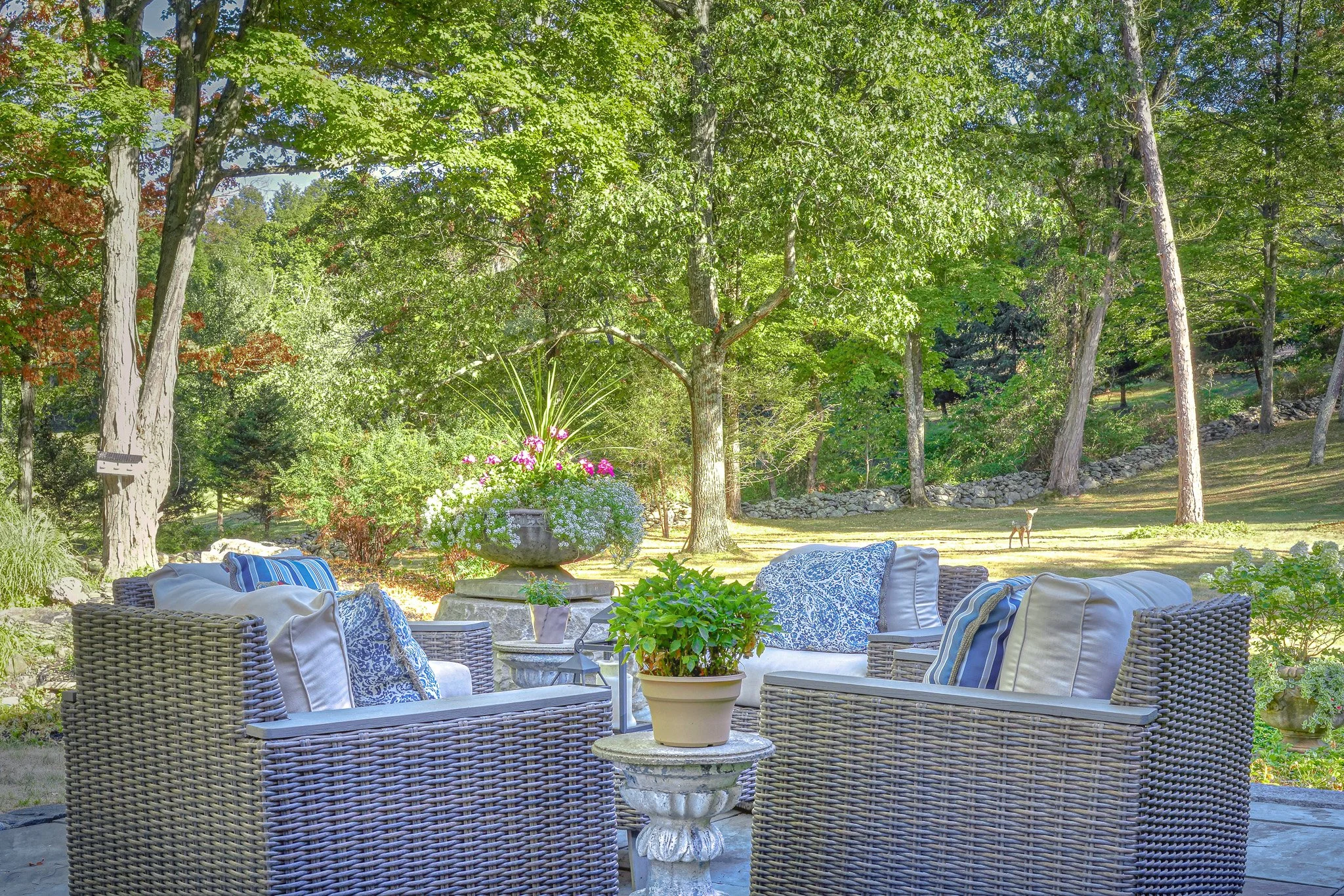 A cozy outdoor seating area with wicker furniture, cushions, and potted plants overlooking a lush backyard with trees and a dog in the distance.