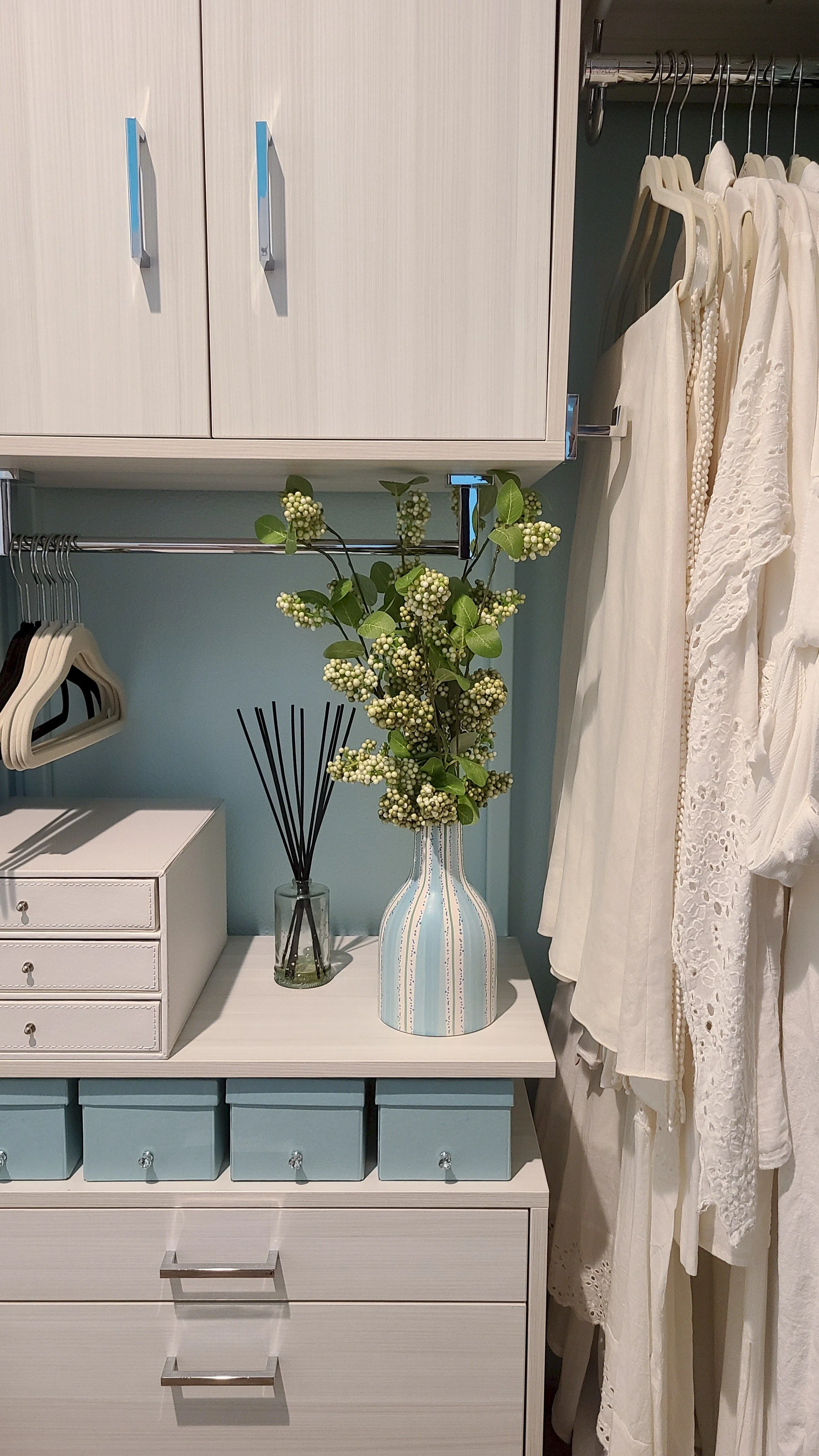 Photo of the first custom closet designed and installed by the Sprinklize president