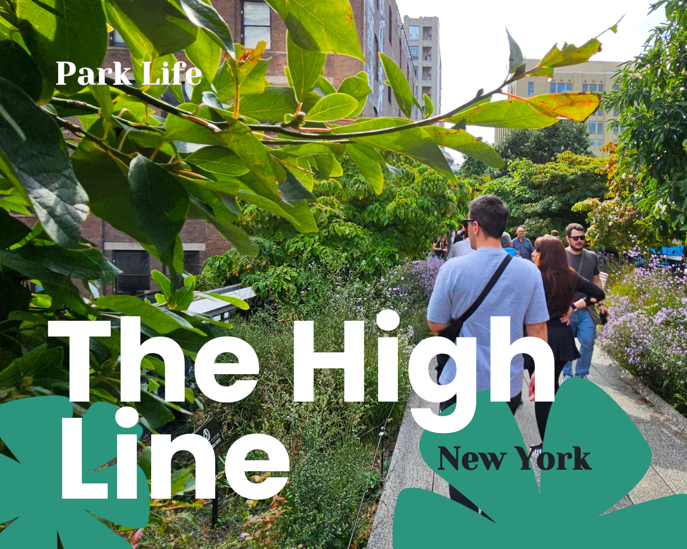 A definitive masterclass in urban regeneration: The High Line, New York