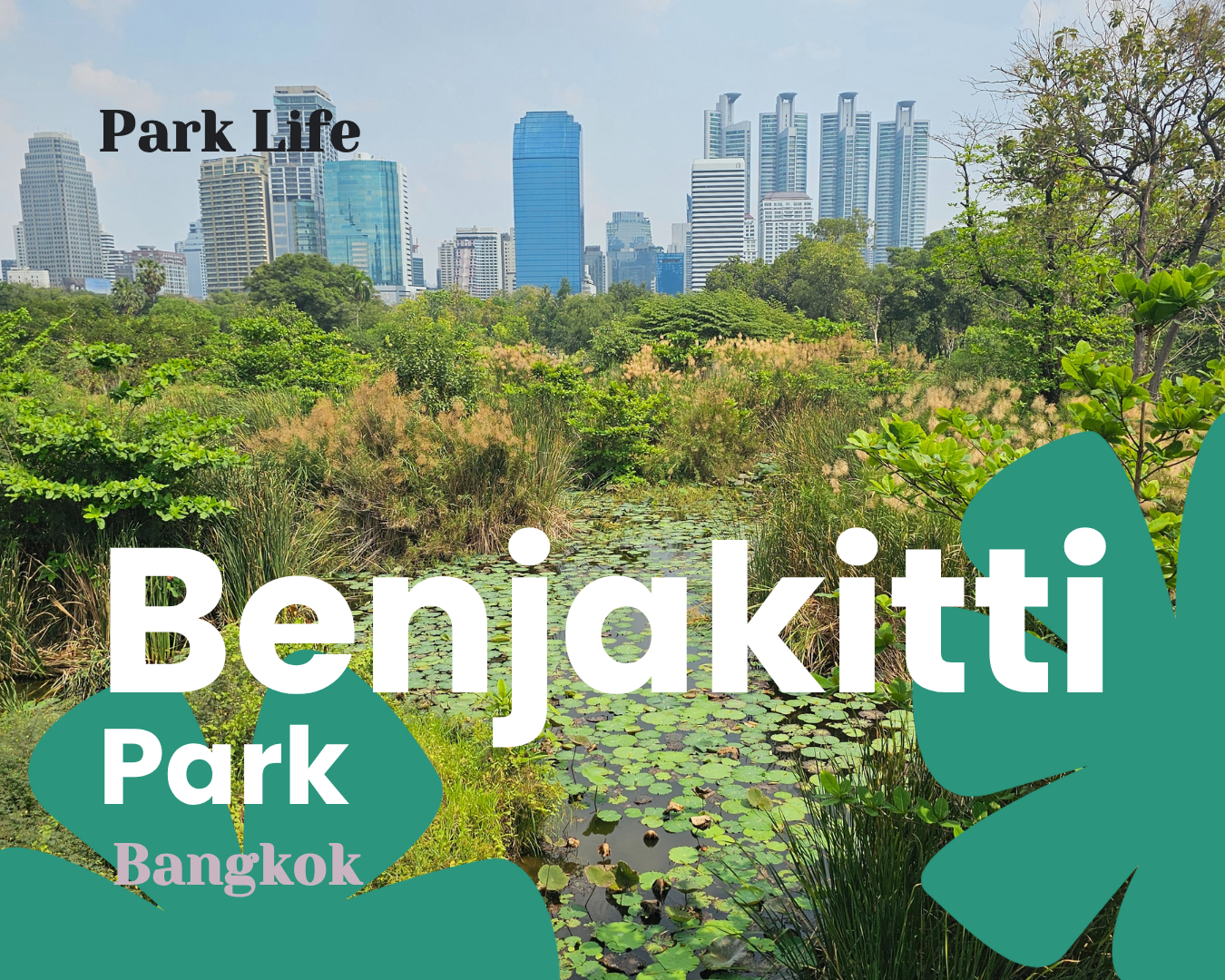Where concrete ends and the jungle begins: Benjakitti Forest Park, Bangkok