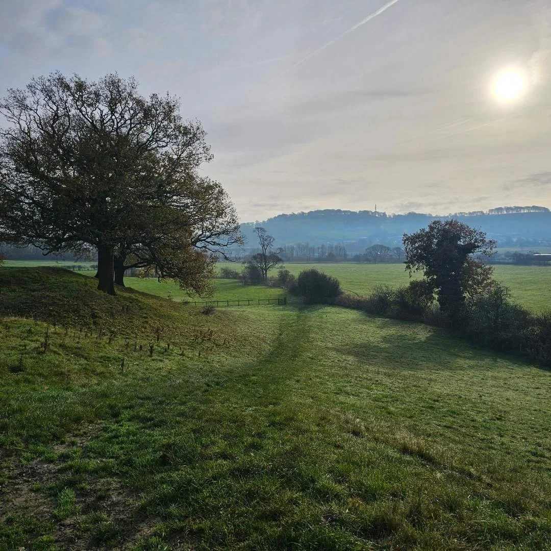 A scenic landscape with a large tree on the left, smaller trees and green fields stretching into the distance, hills on the horizon, and the sun partially veiled by clouds in the sky.
