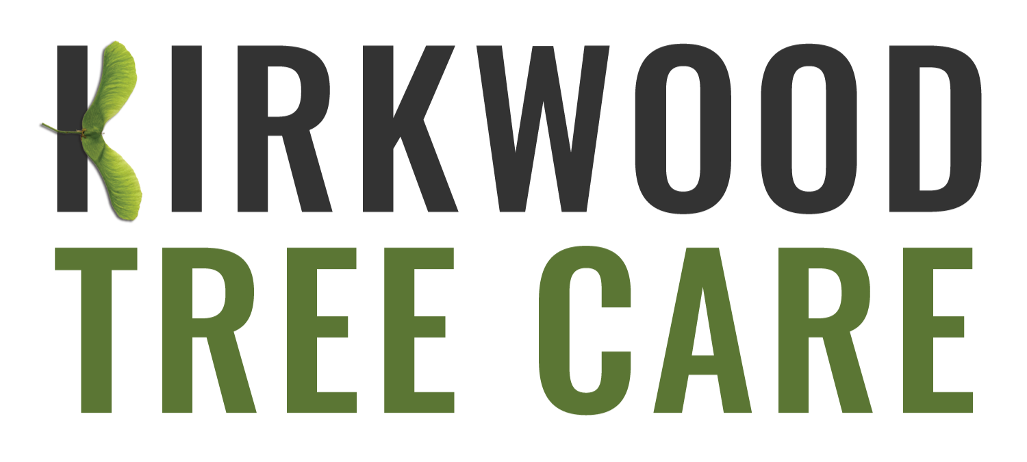 Kirkwood Tree Care ∙ Certified Arborists ∙ Peterborough &amp; the Kawarthas 
