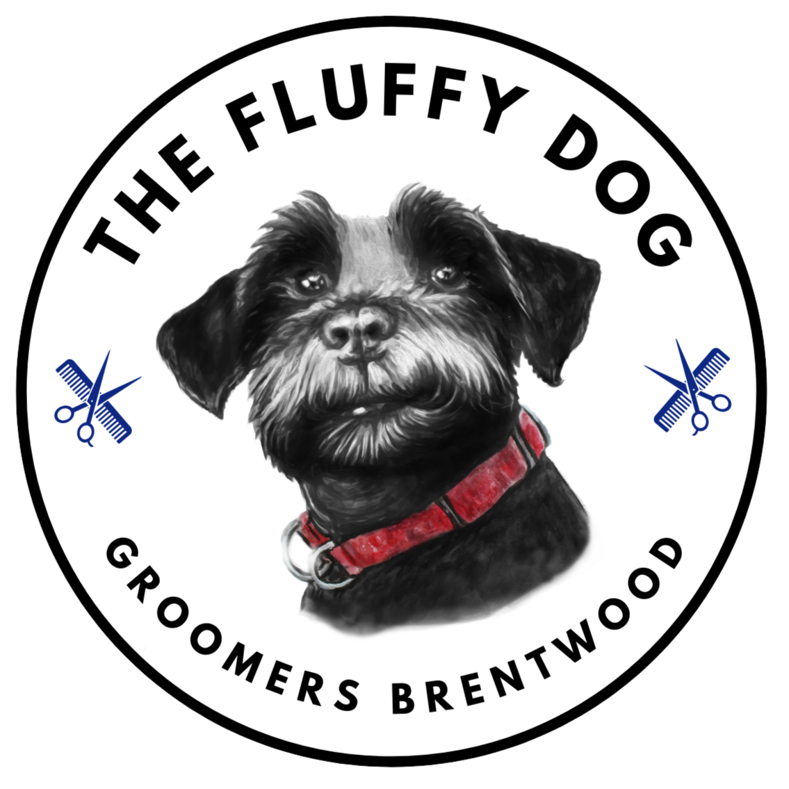 The Fluffy Dog