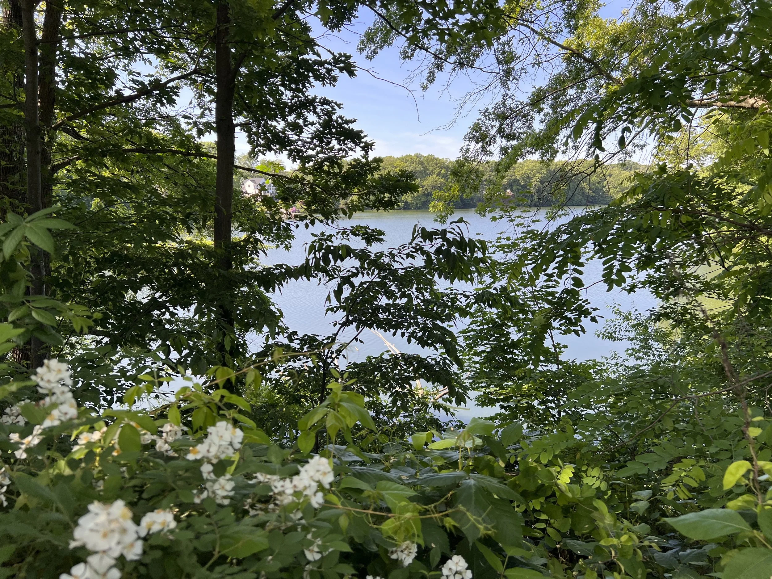 IMG_1261.jpeg