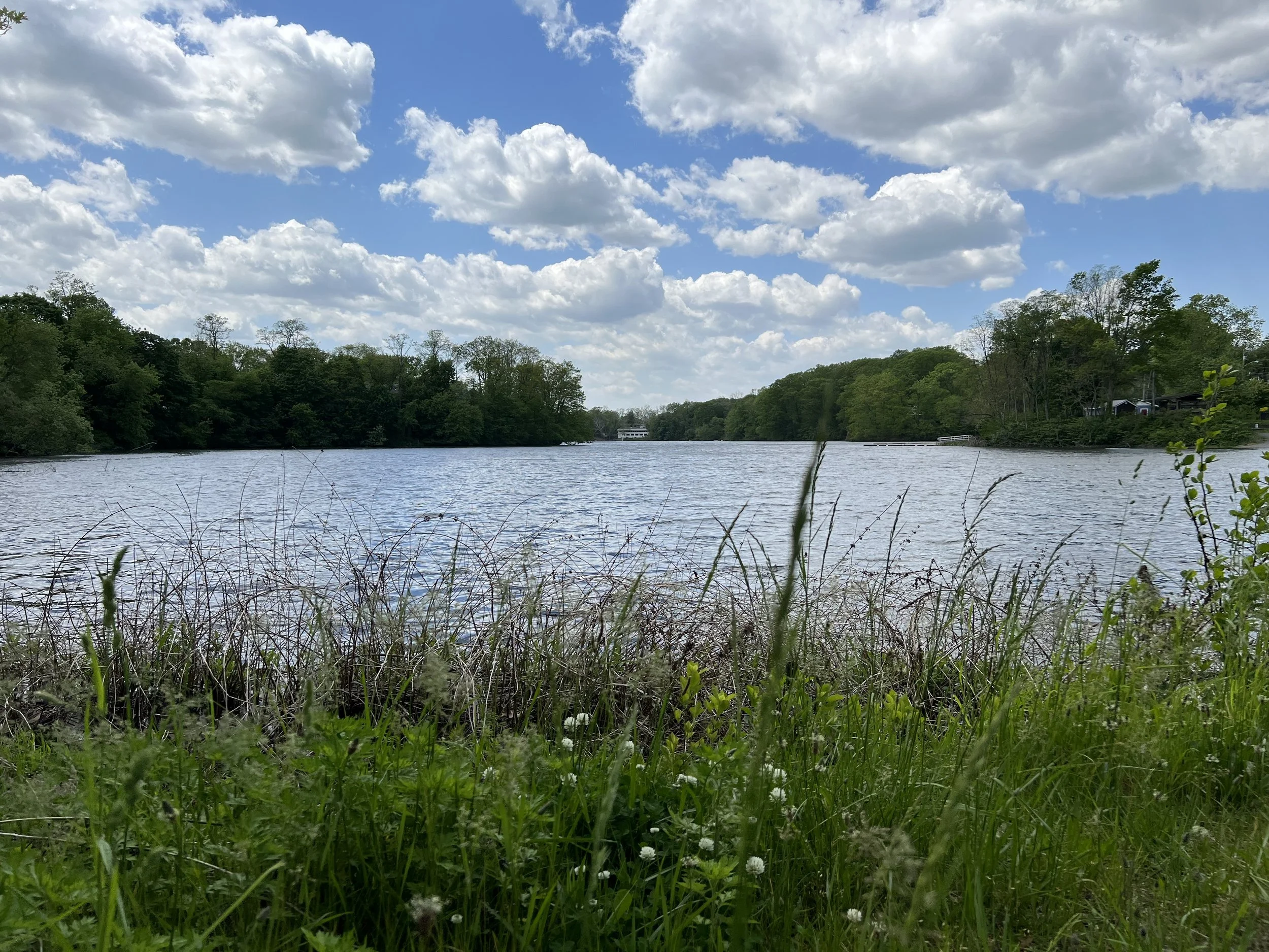 IMG_6550.jpeg