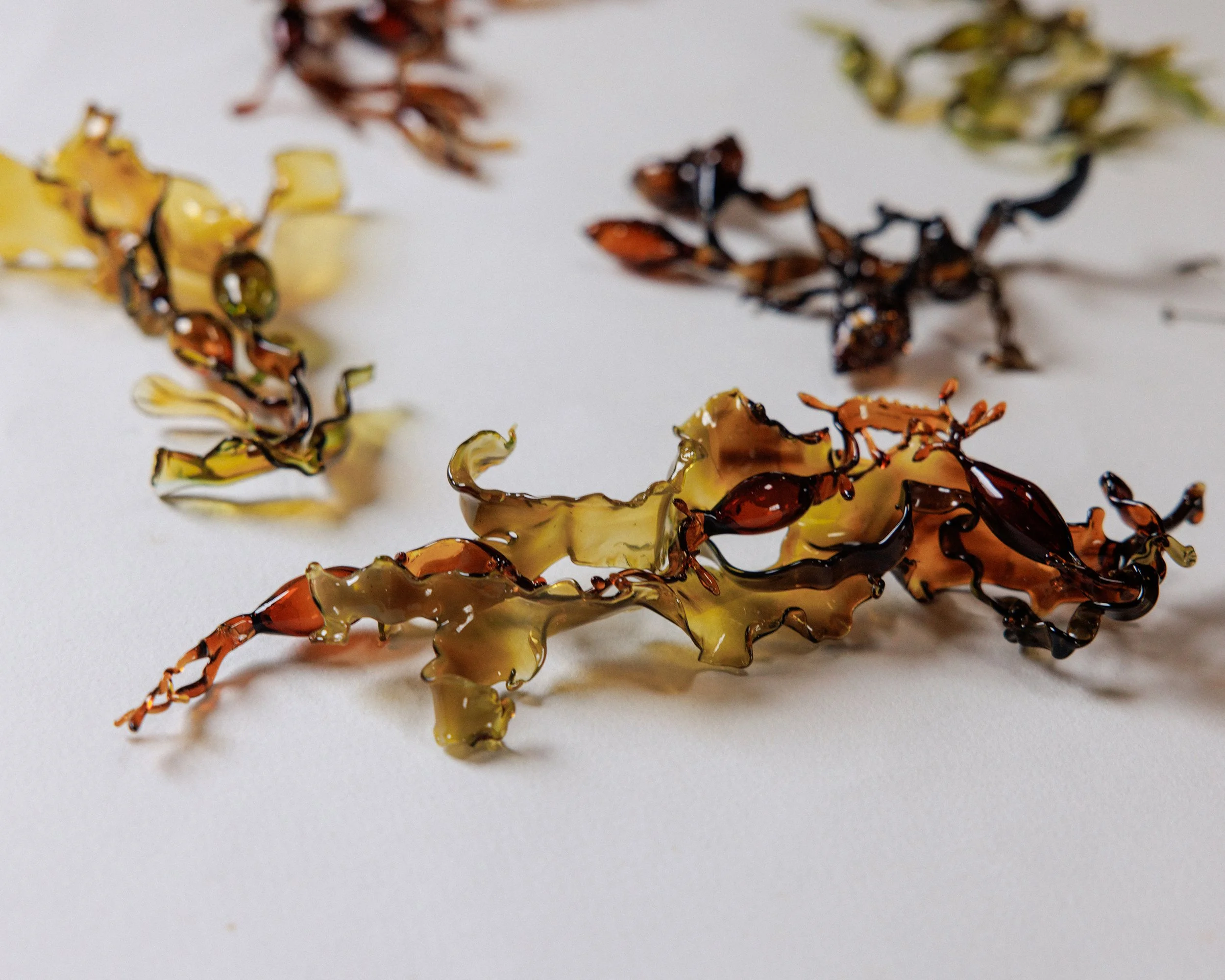 andrea spencer ffern low res 55.jpg