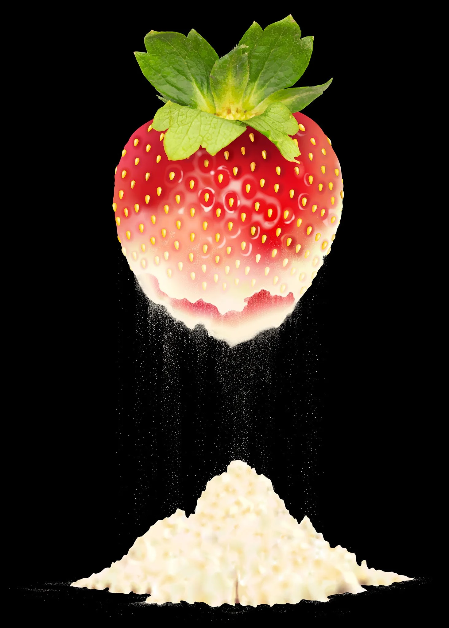 Dissolving Strawberry Weber_web.jpg