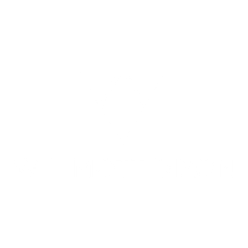 Design uden navn (4).png