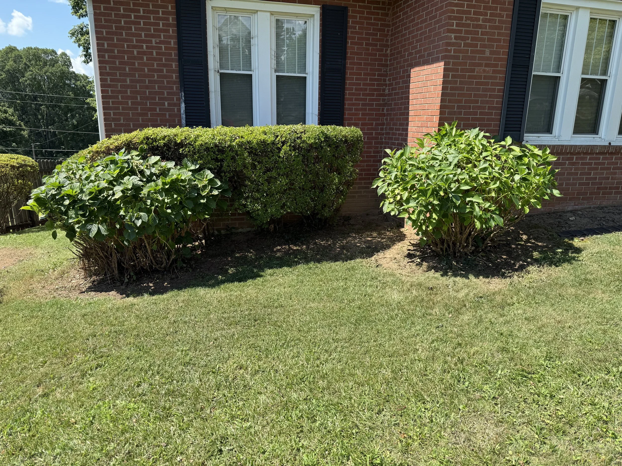 Property Cleanup Marion, NC