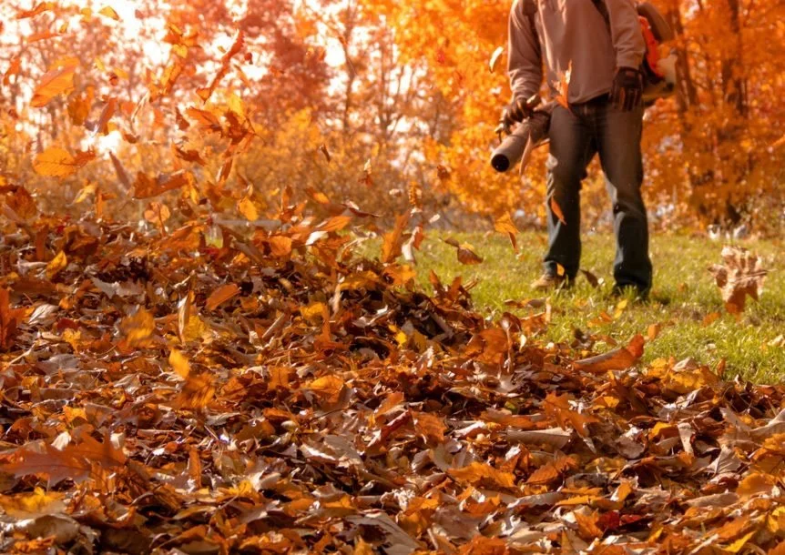 Person raking fallen orange and brown leaves in a park during autumn.